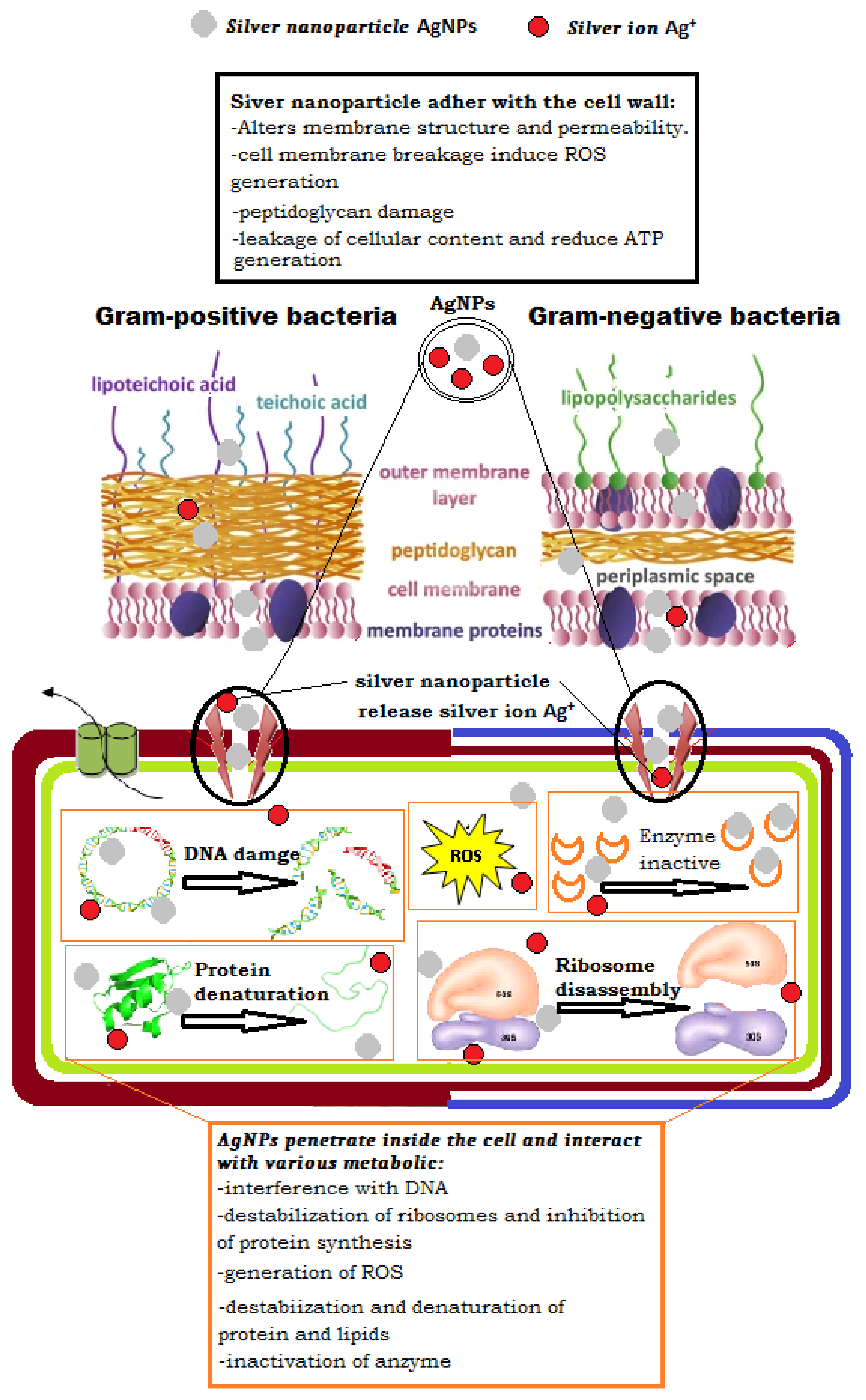 Nanomaterials 12 02013 g008