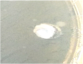 Nanomaterials 12 02013 i004