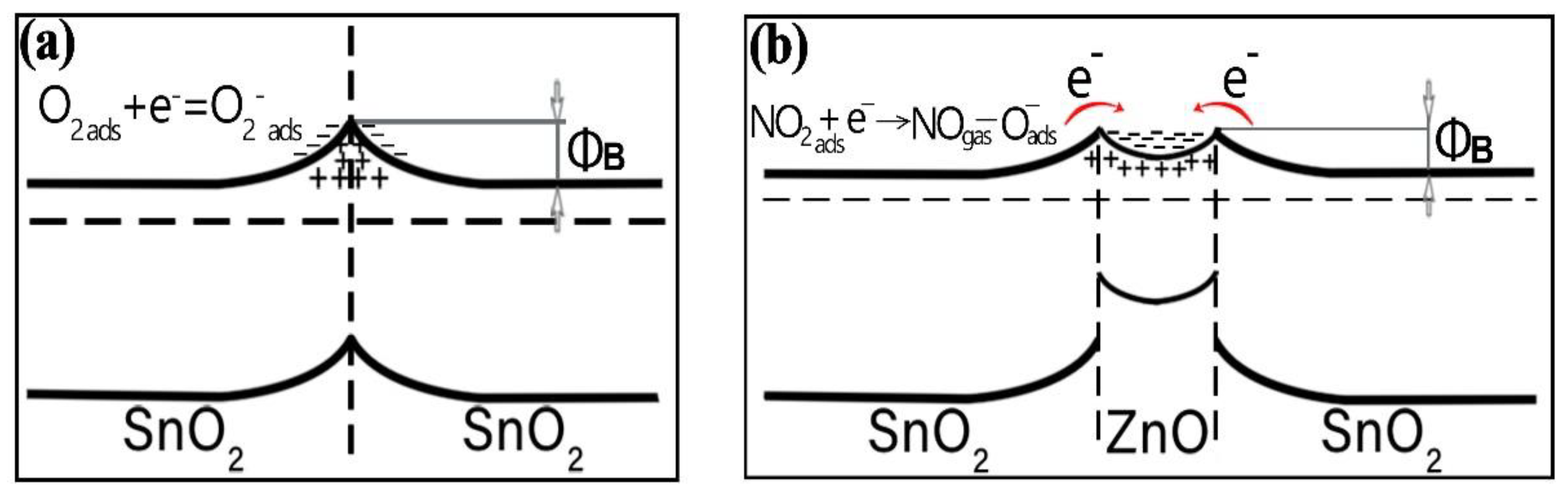 Nanomaterials 12 02025 g011