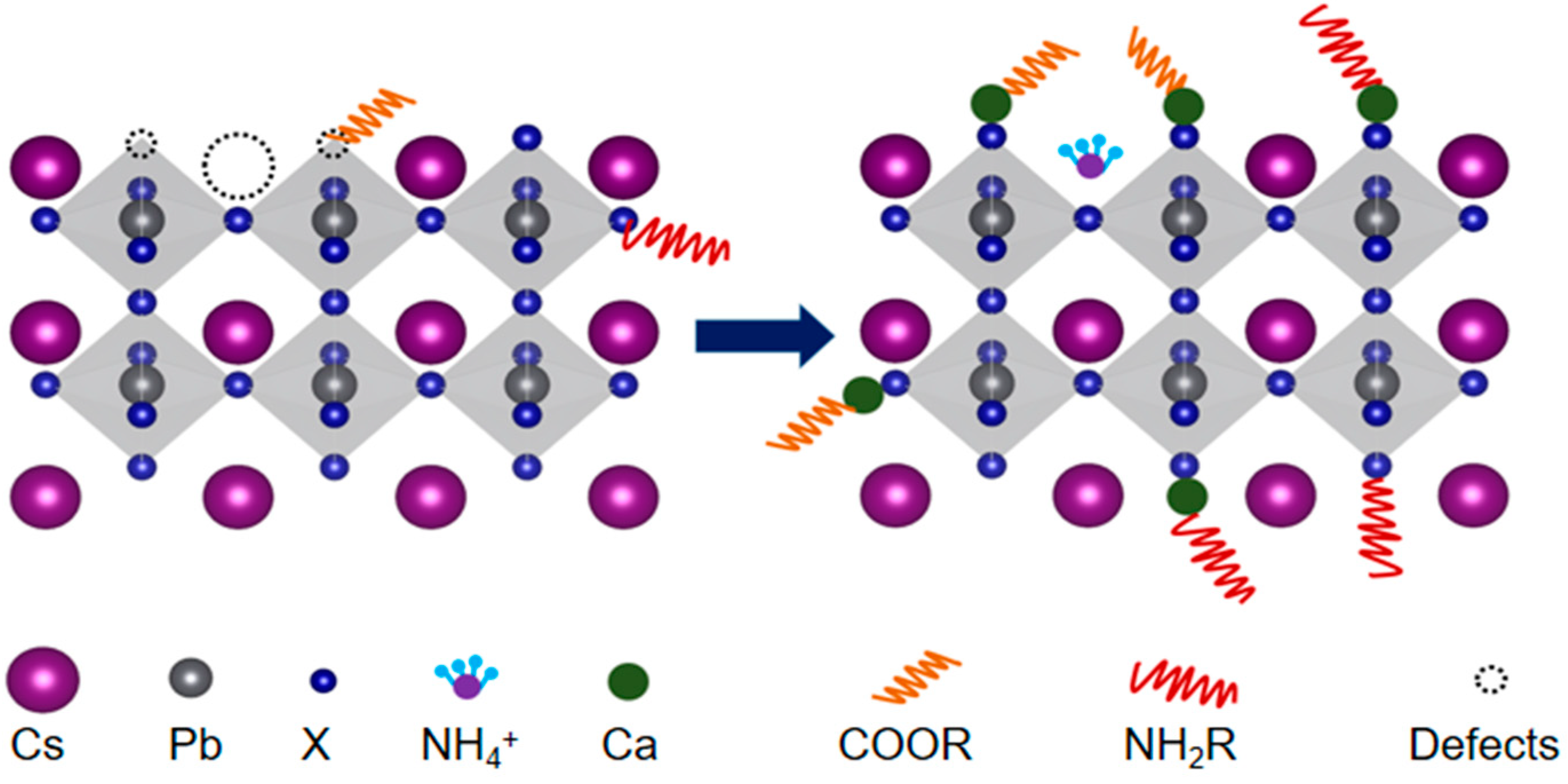 Nanomaterials 12 02026 g007 550