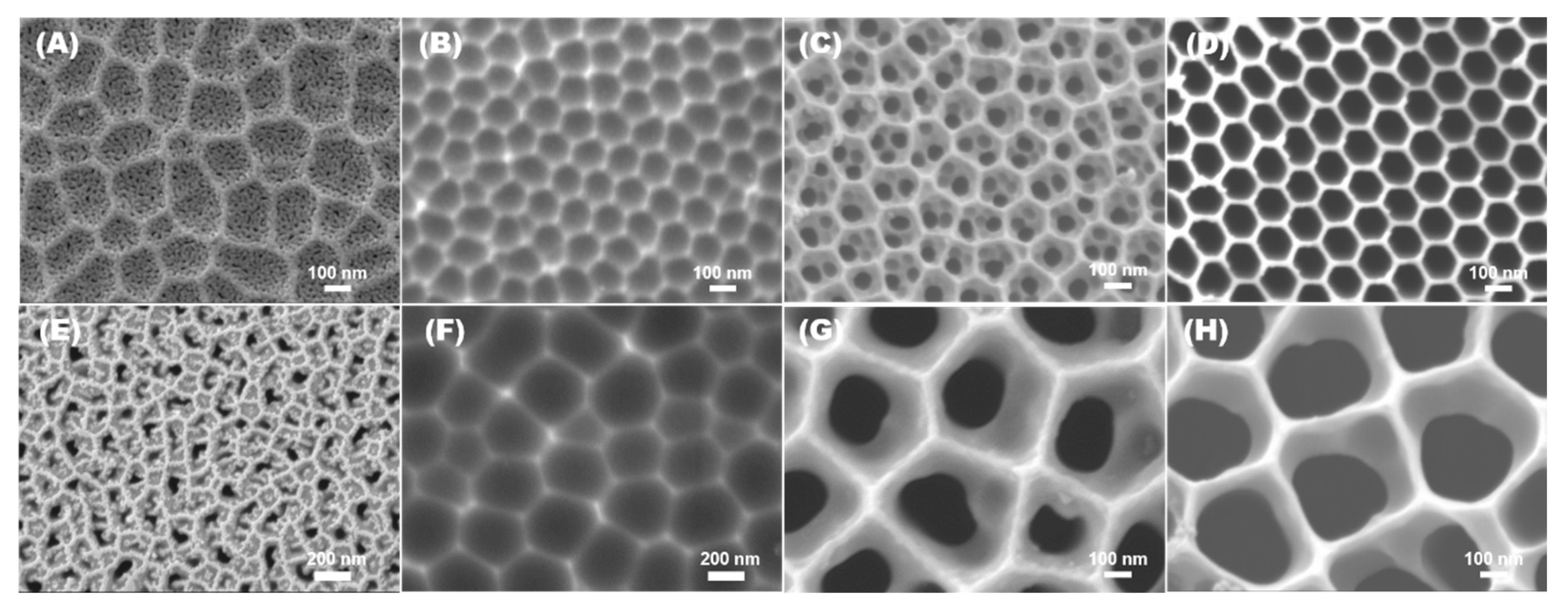 Nanomaterials 12 02032 g002