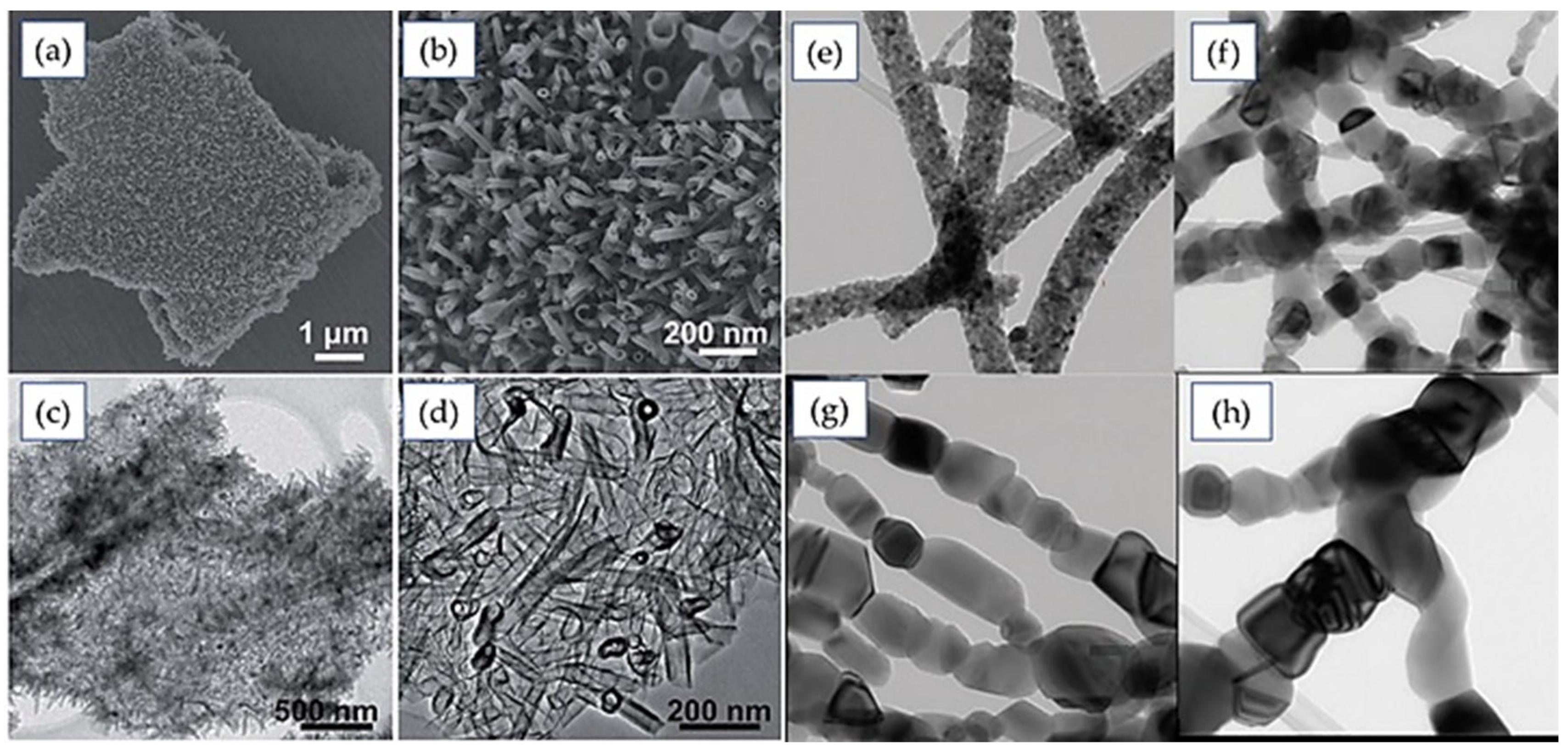 Nanomaterials 12 02034 g009 Nanomaterials 12 02034 g009