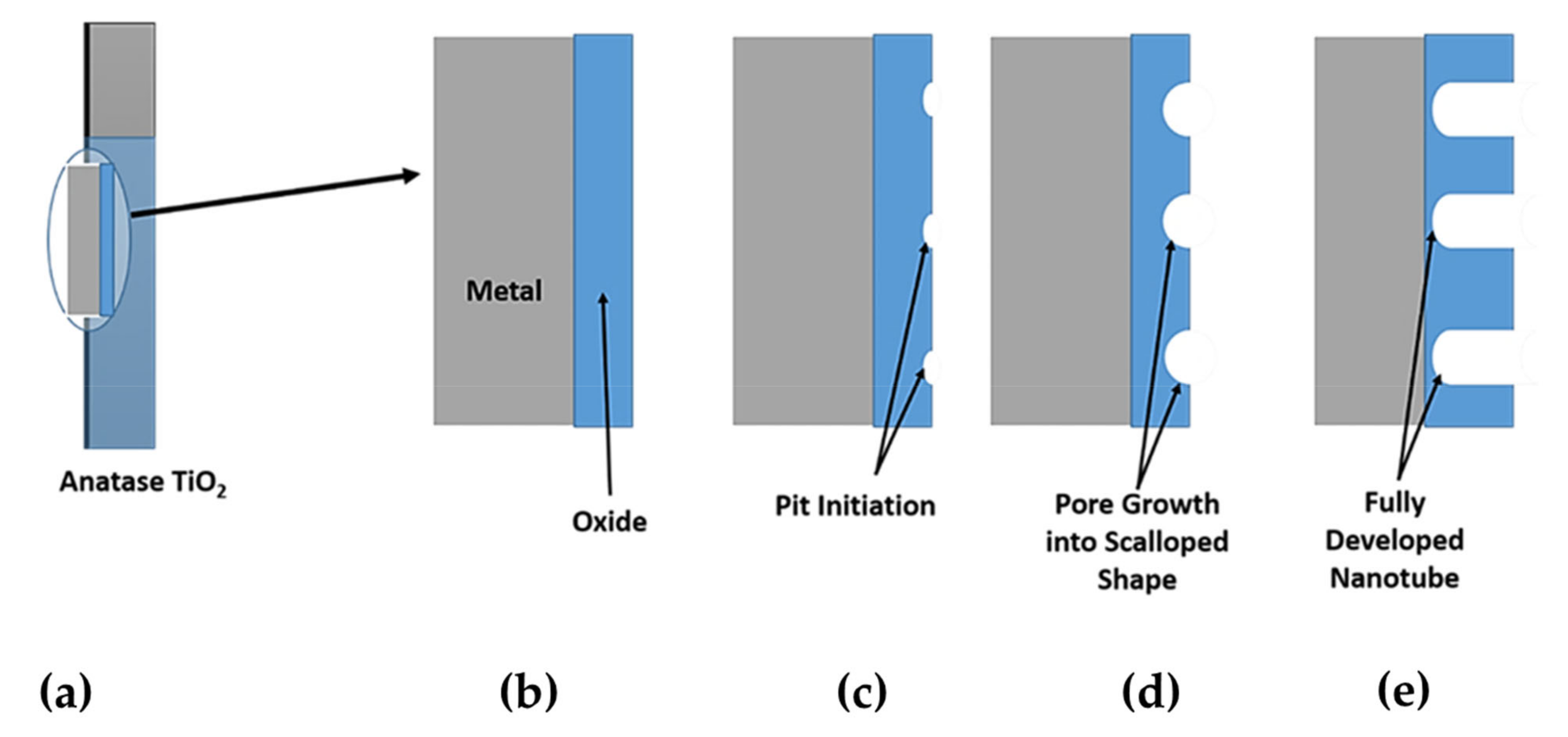 Nanomaterials 12 02034 g015 Nanomaterials 12 02034 g015
