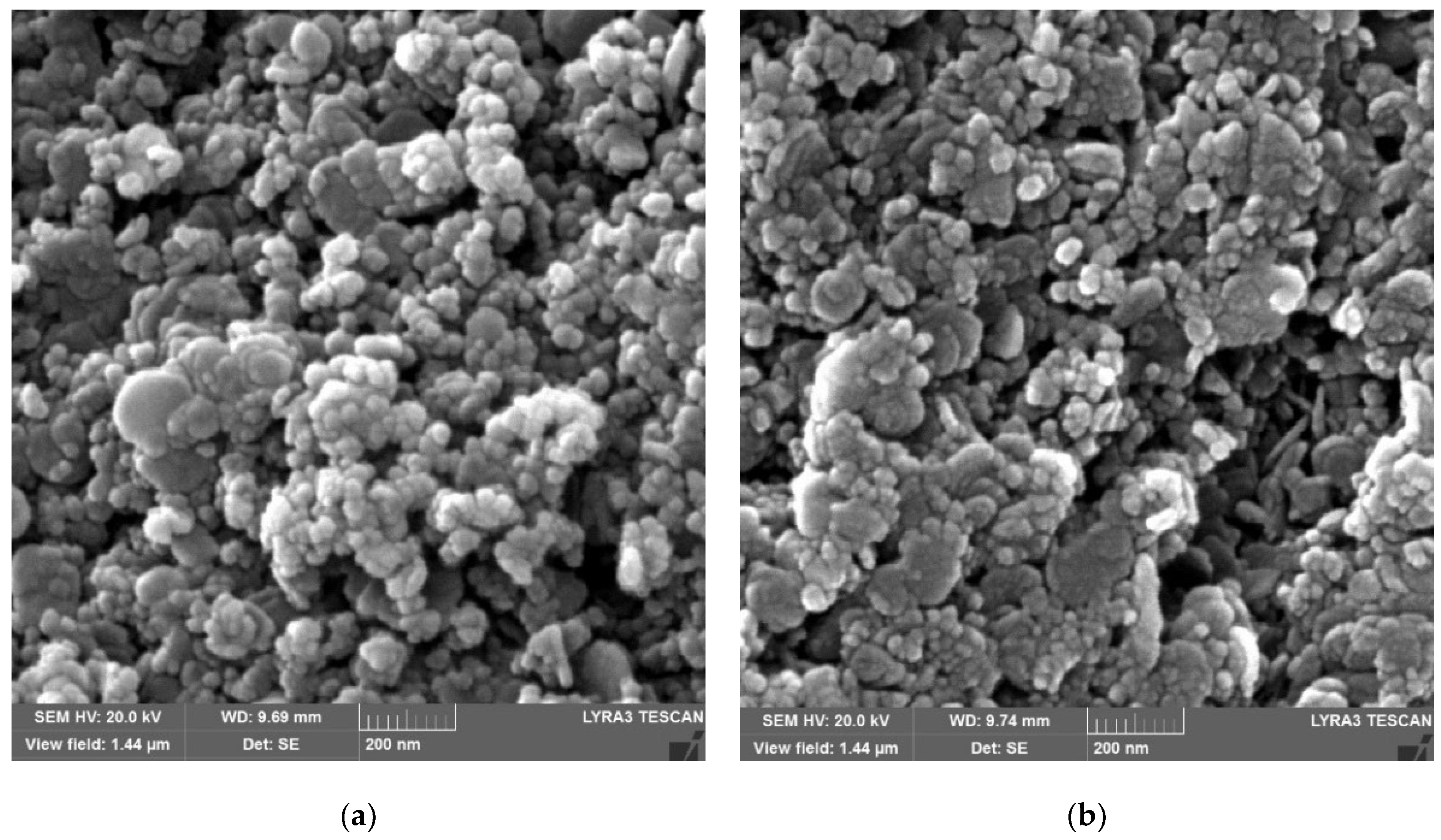 Nanomaterials 12 02035 g004a