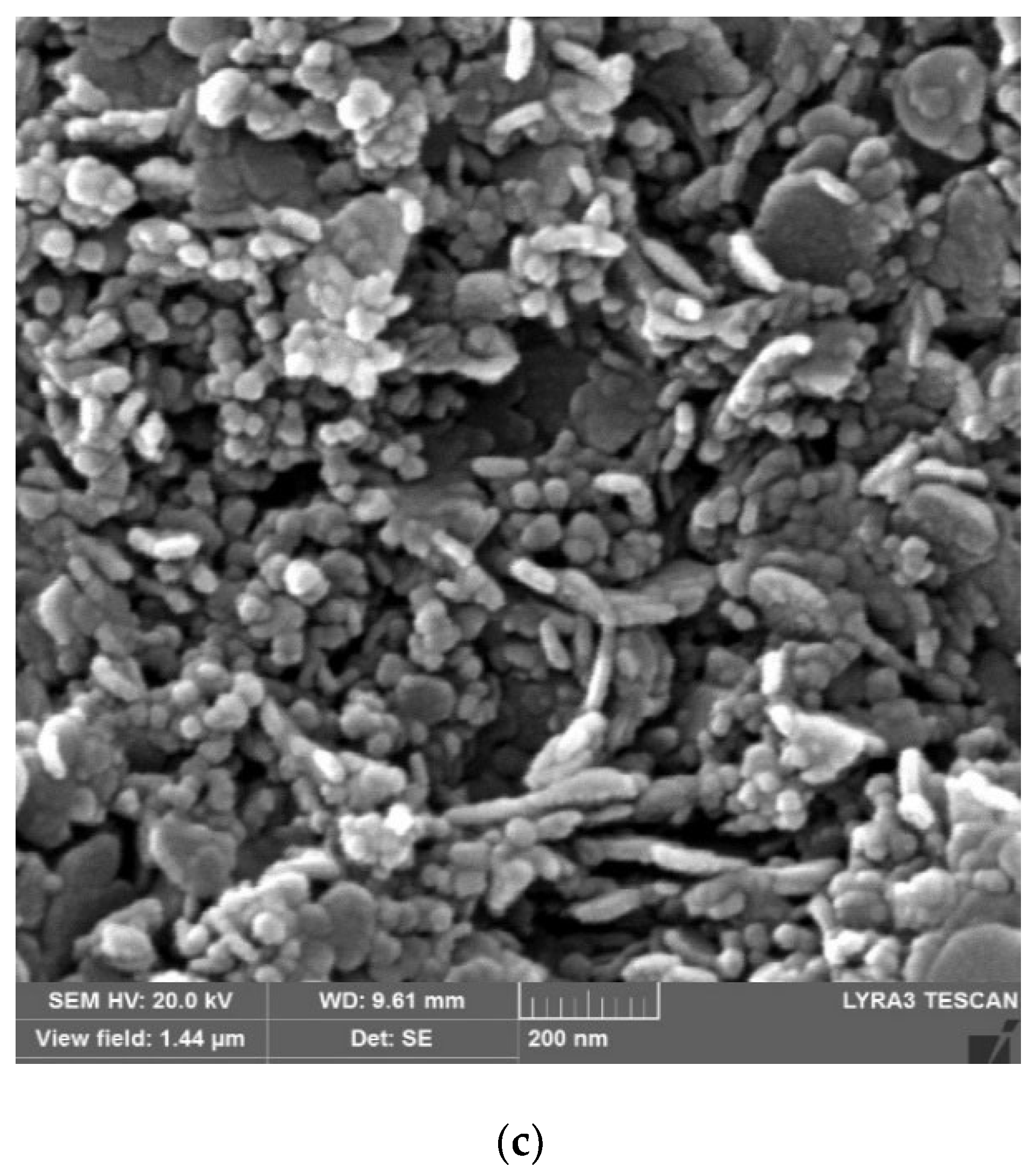 Nanomaterials 12 02035 g004b