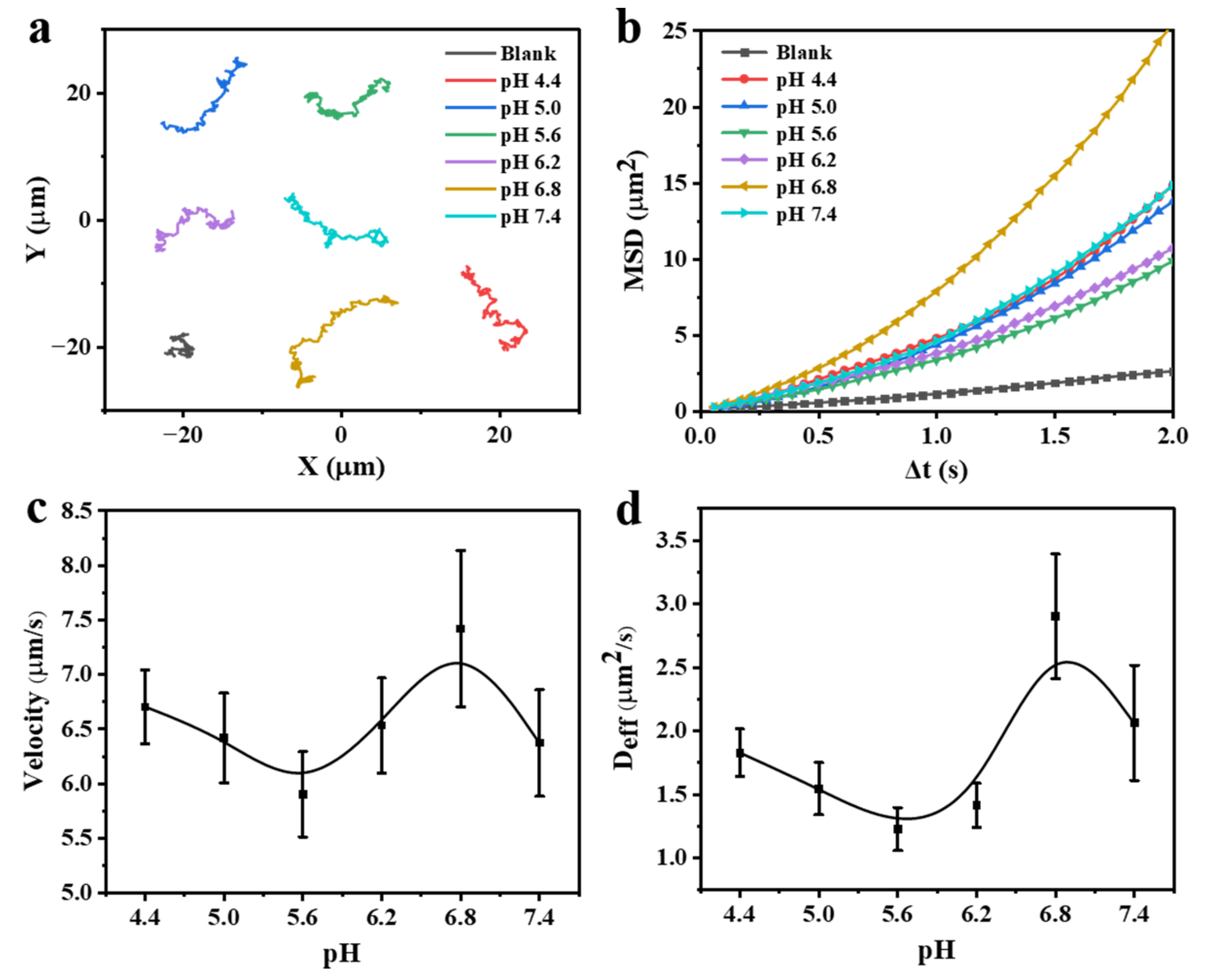Nanomaterials 12 02049 g003