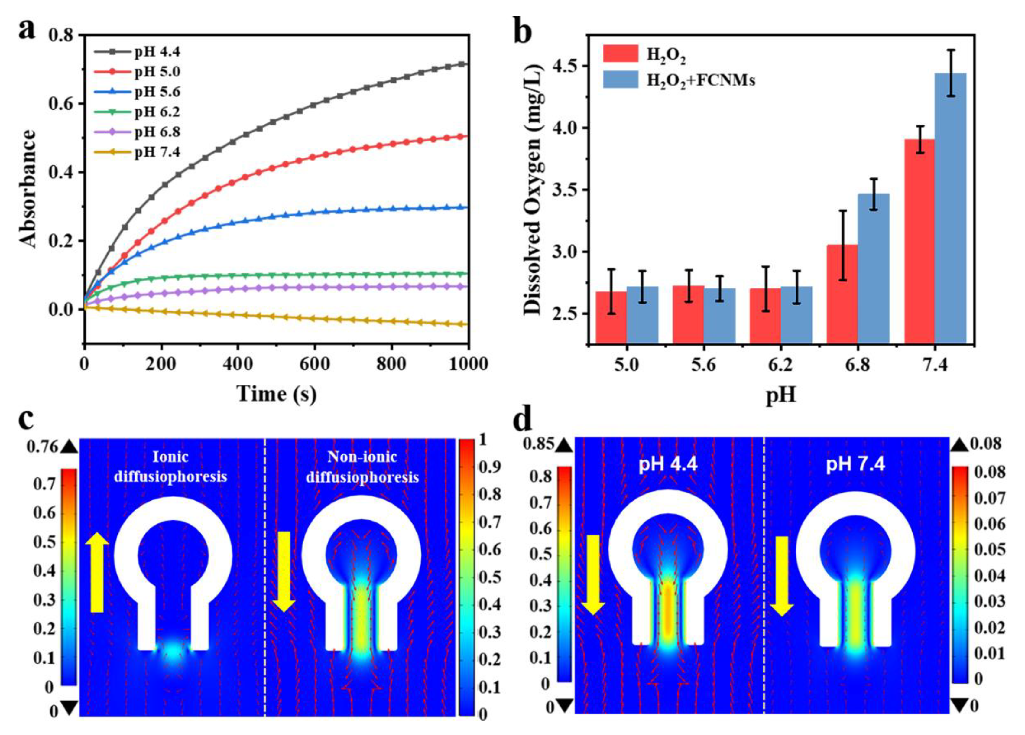 Nanomaterials 12 02049 g004