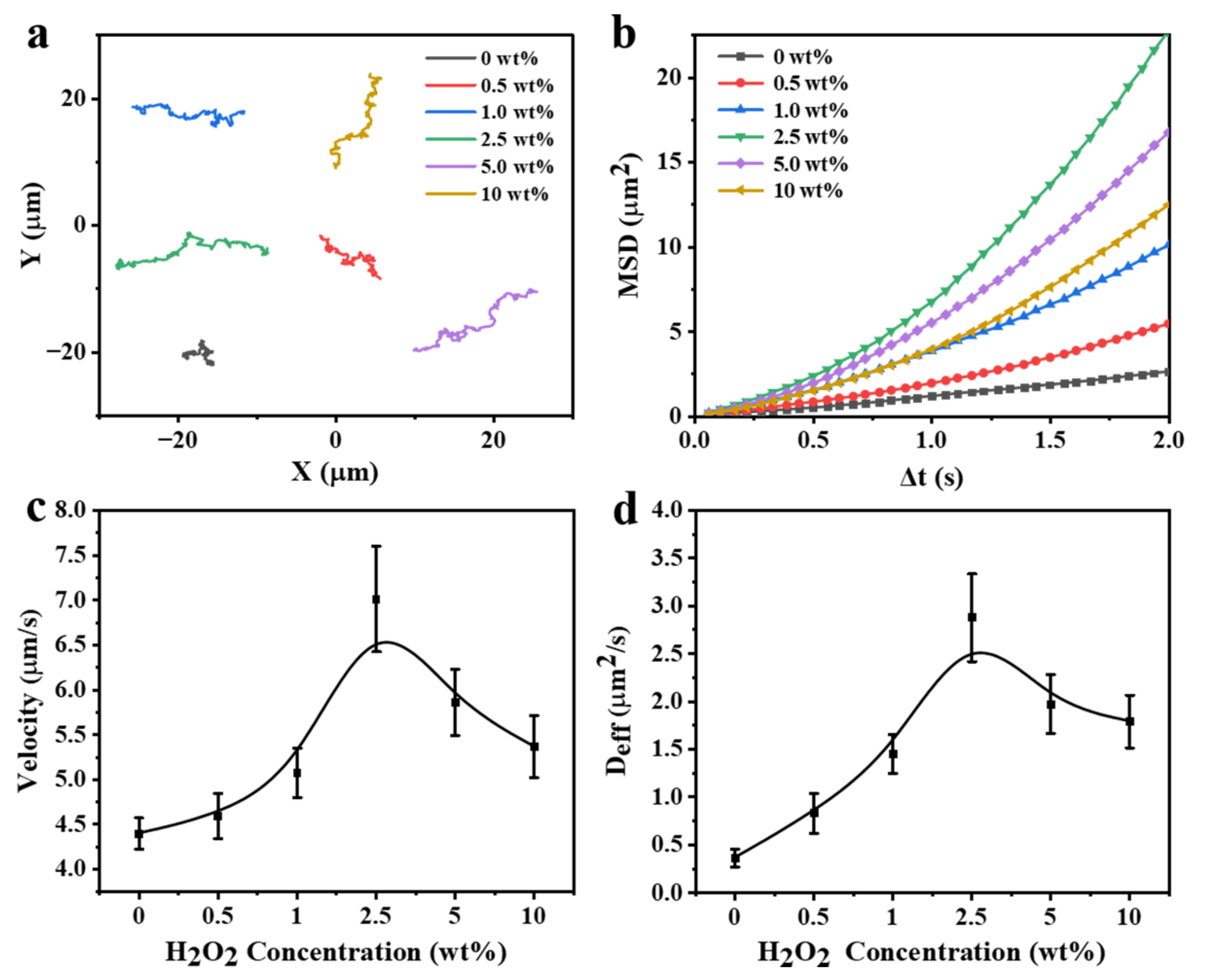 Nanomaterials 12 02049 g005