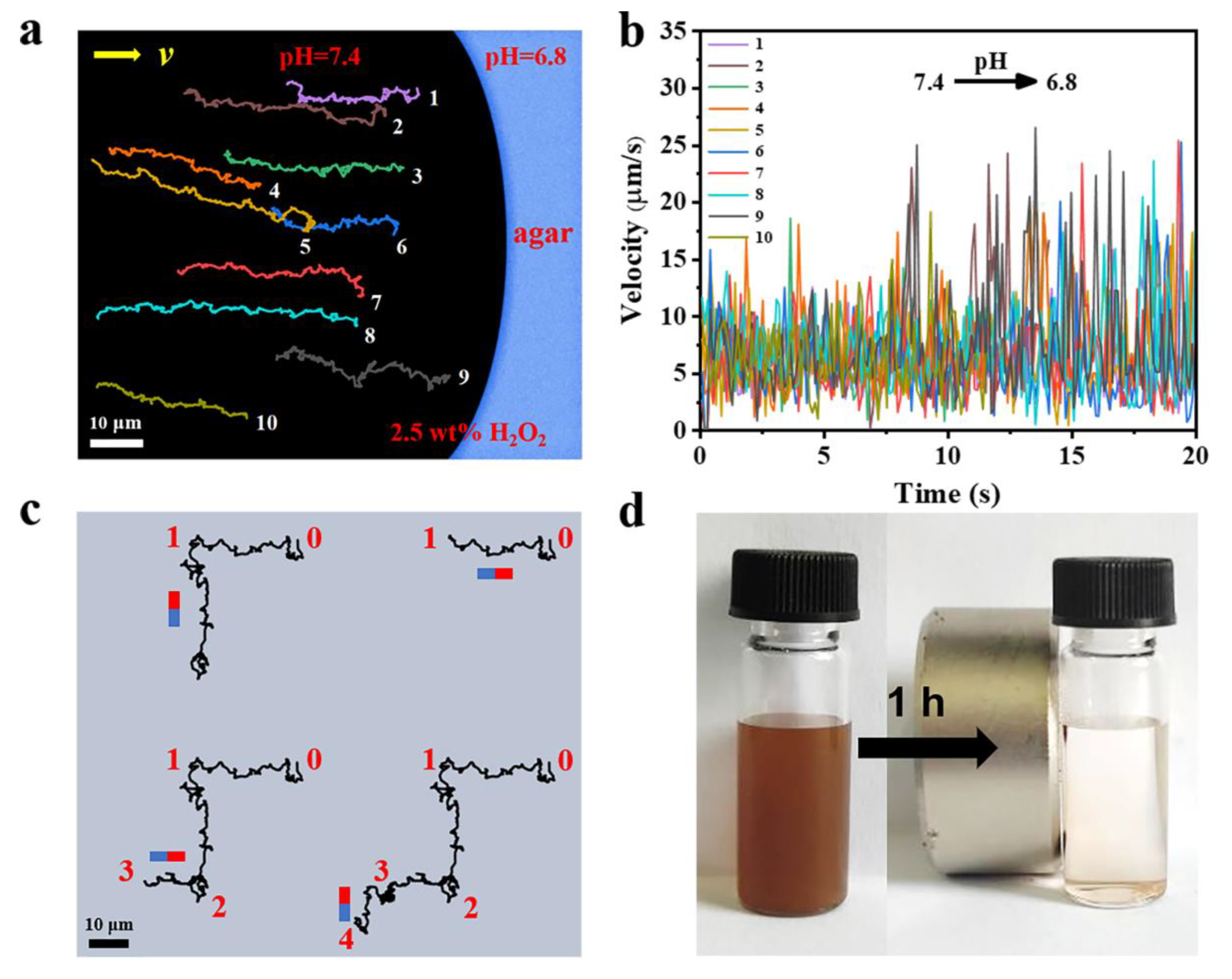 Nanomaterials 12 02049 g006