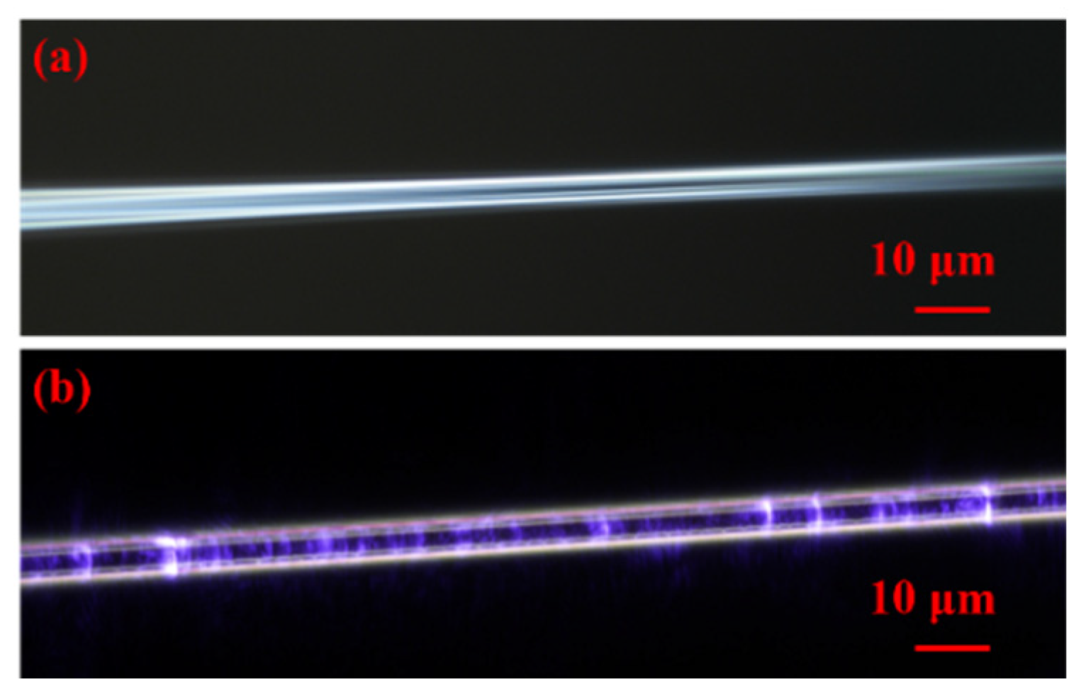 Nanomaterials 12 02050 g002