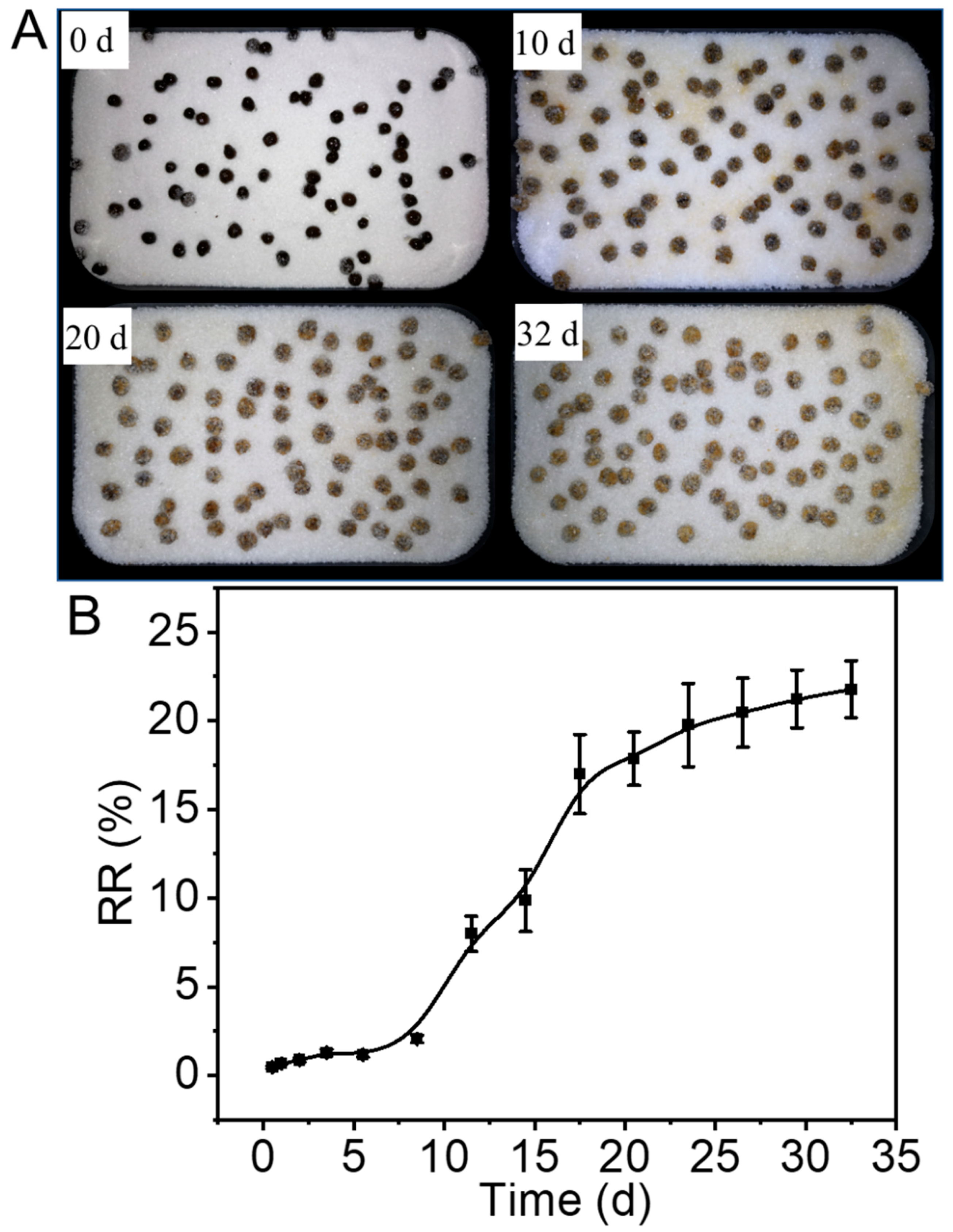 Nanomaterials 12 02056 g003