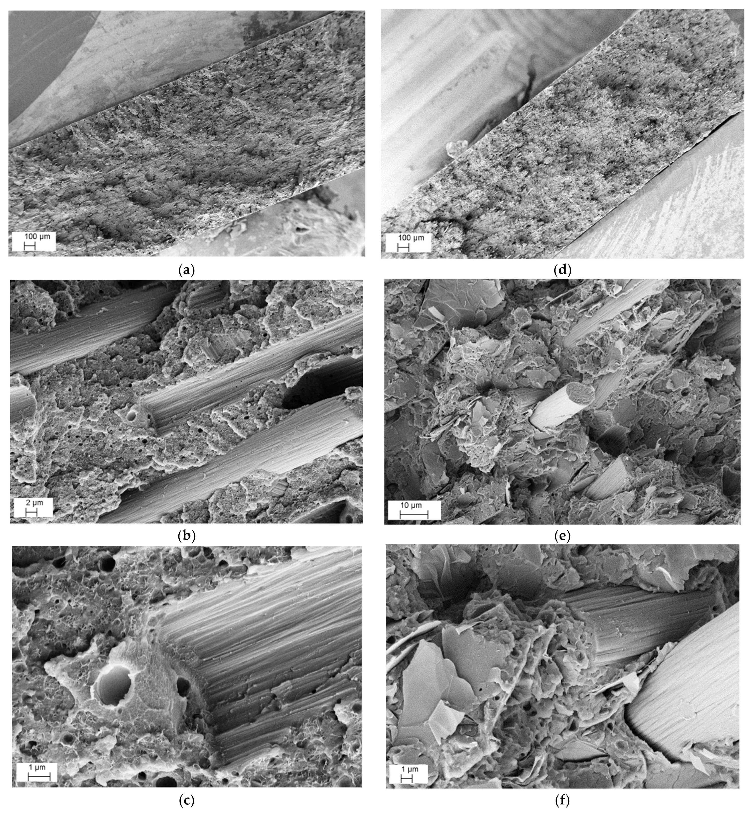 Nanomaterials 12 02064 g004