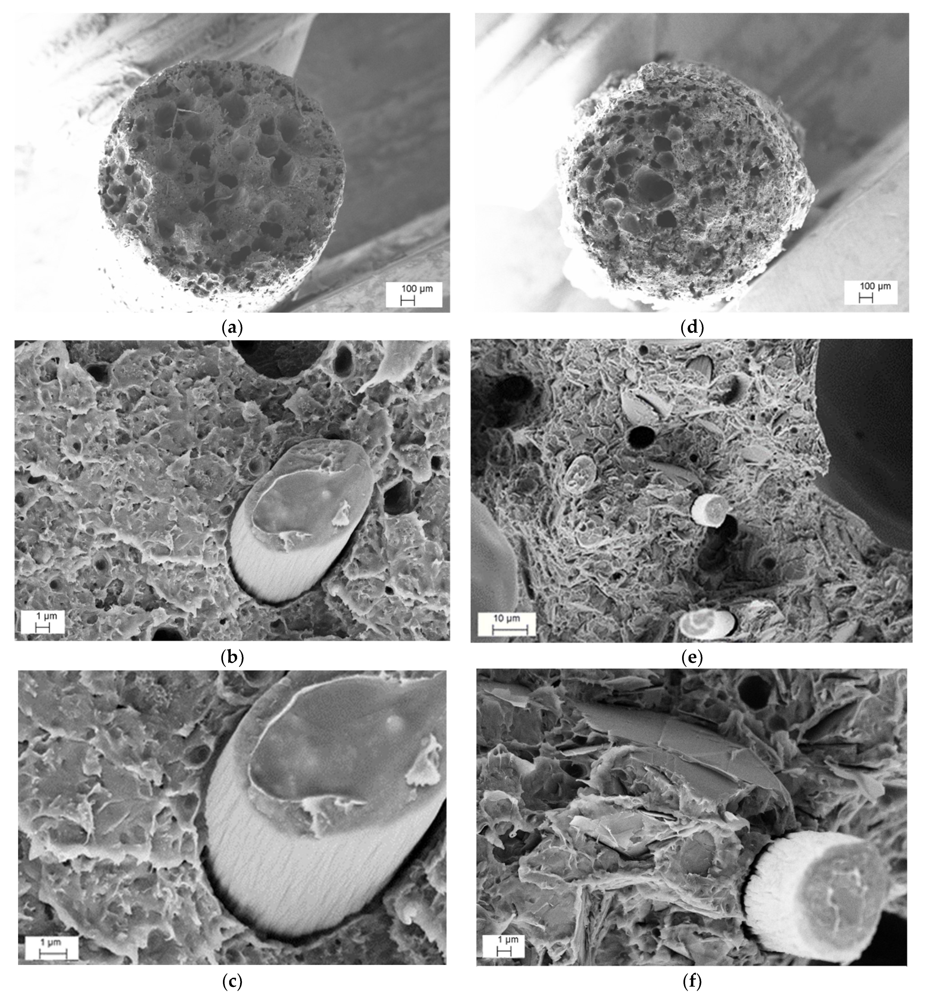 Nanomaterials 12 02064 g010