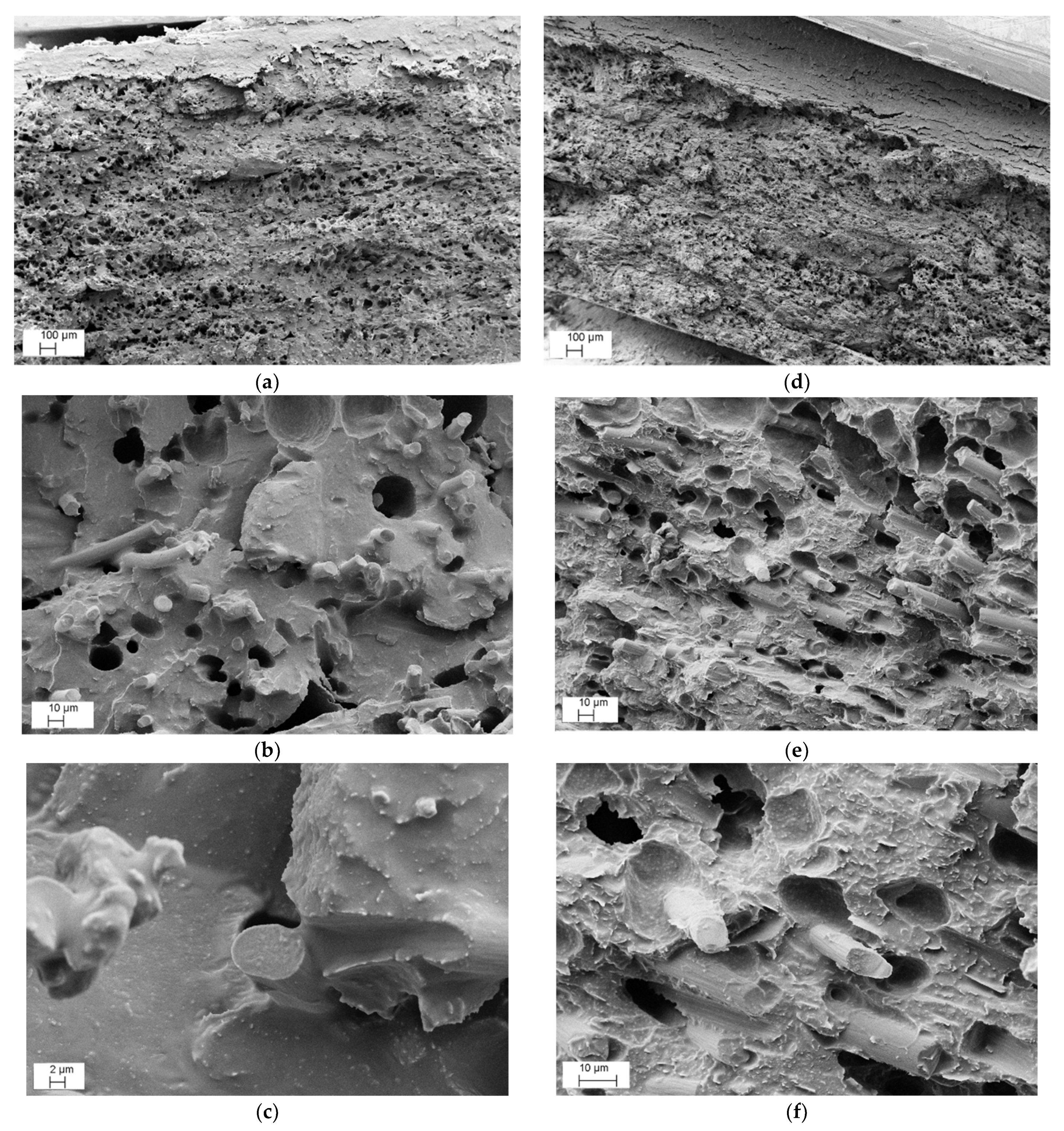 Nanomaterials 12 02064 g011