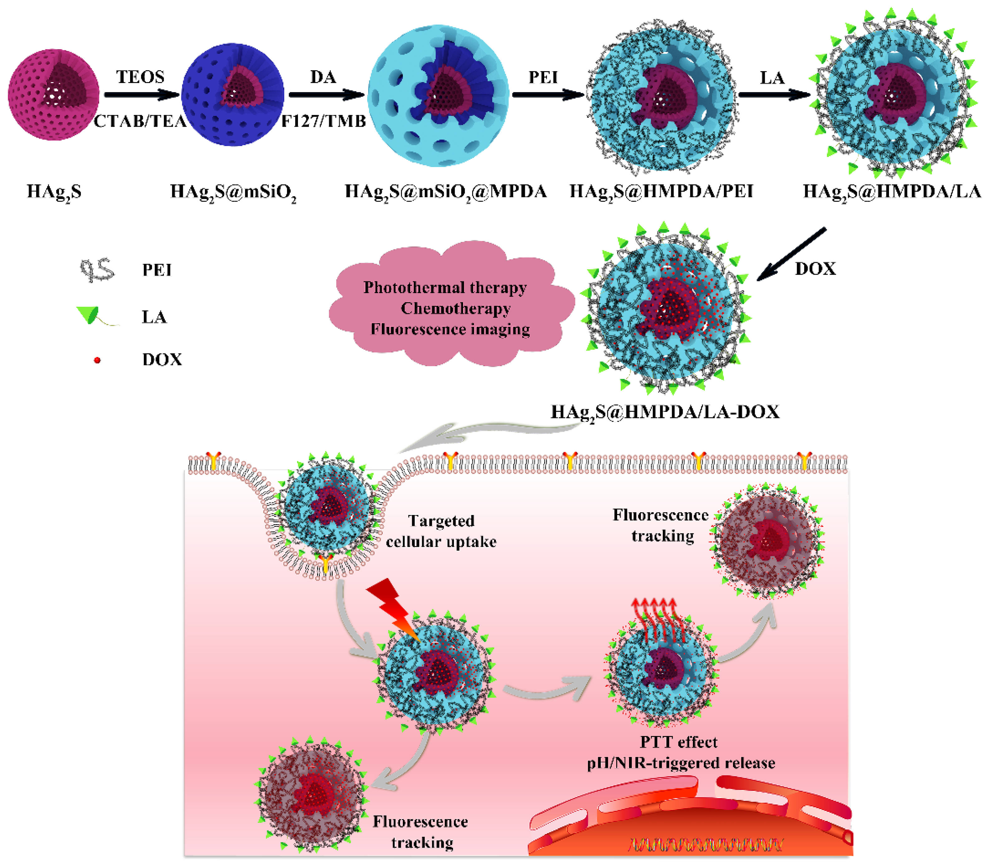 Nanomaterials 12 02068 g001