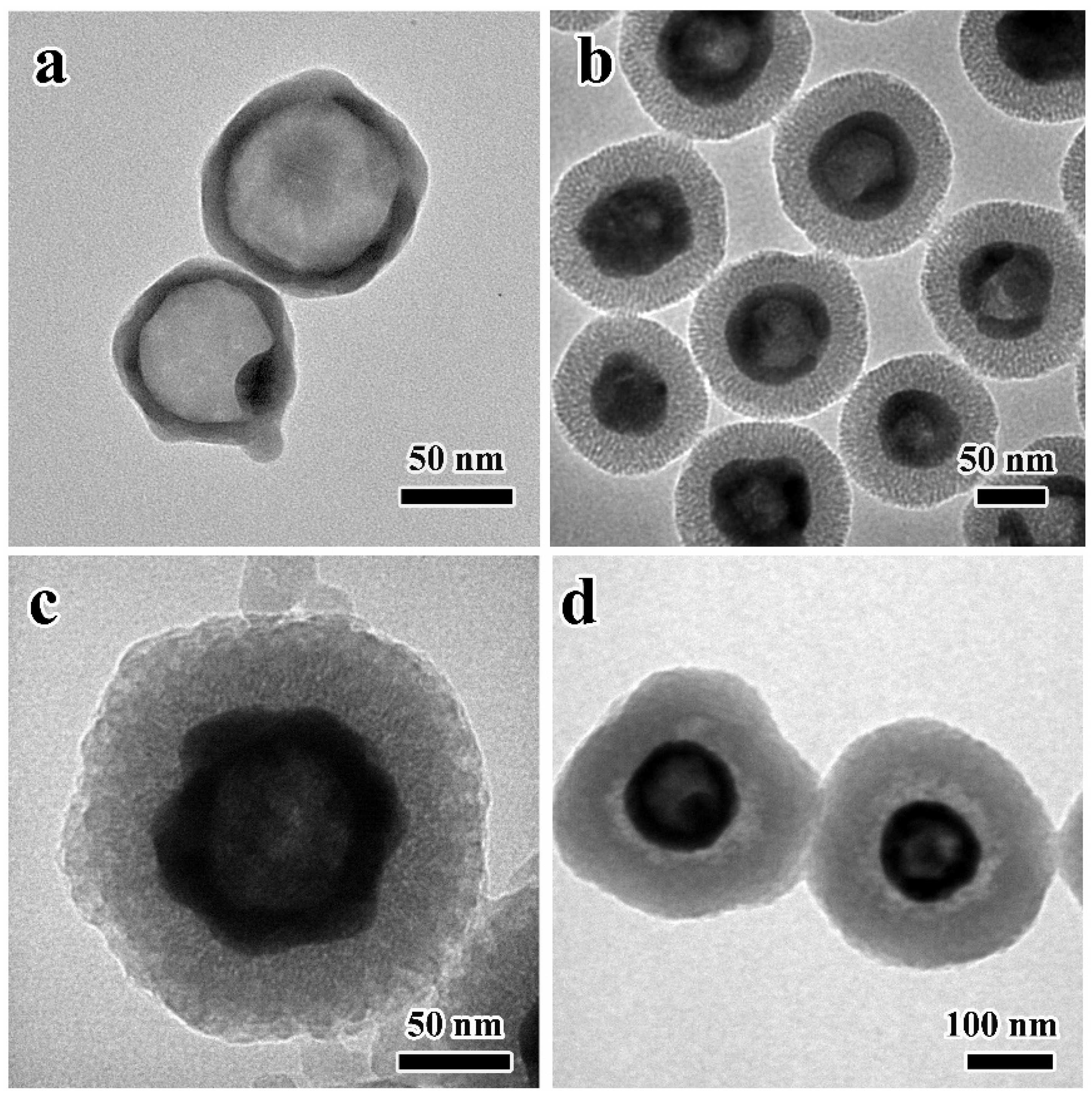 Nanomaterials 12 02068 g002