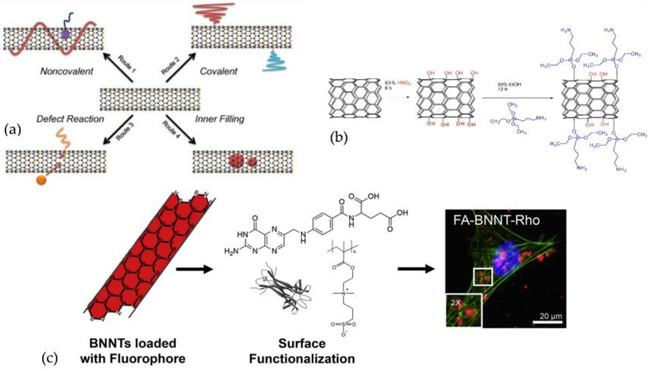 Nanomaterials 12 02069 g003