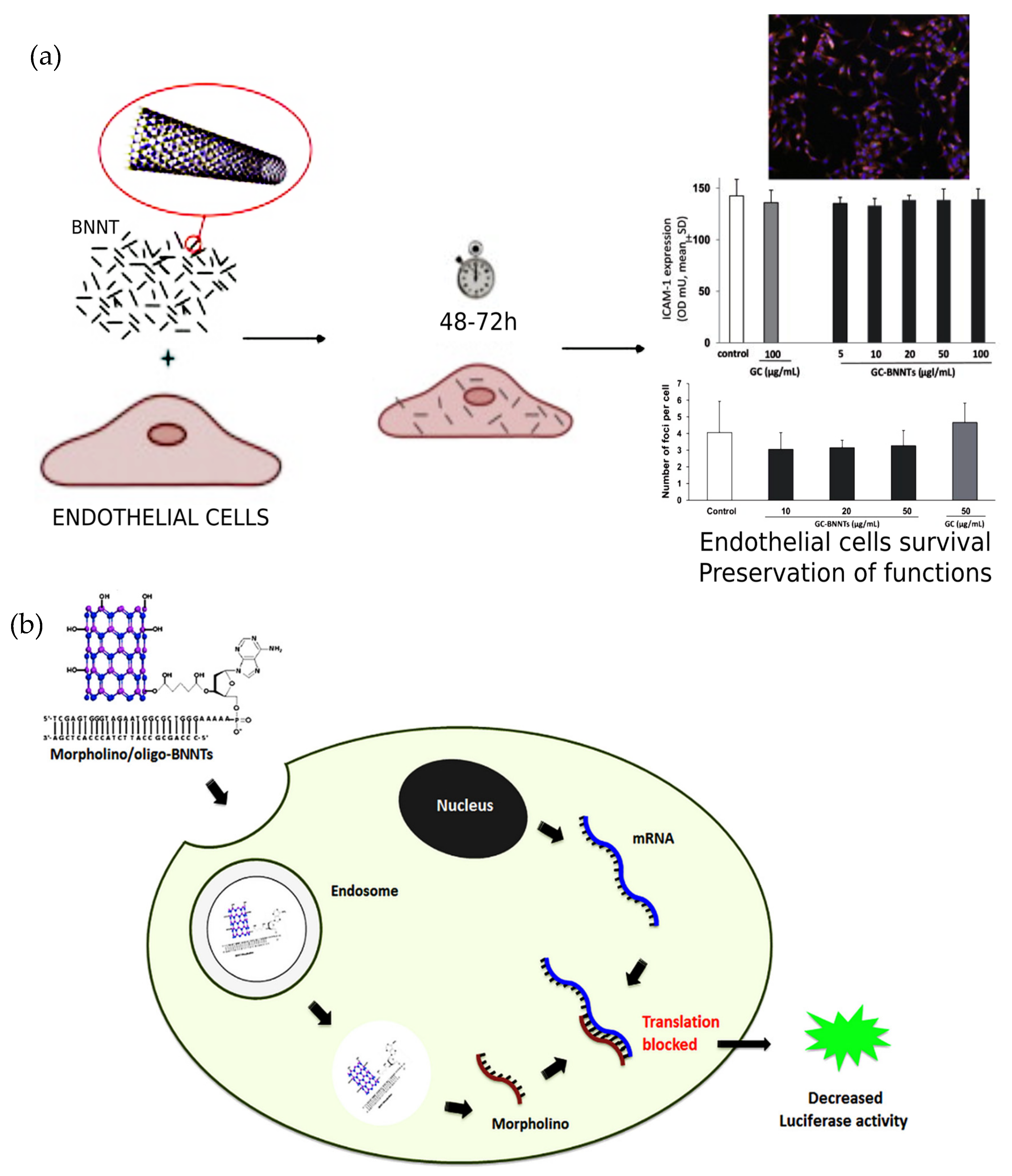Nanomaterials 12 02069 g004