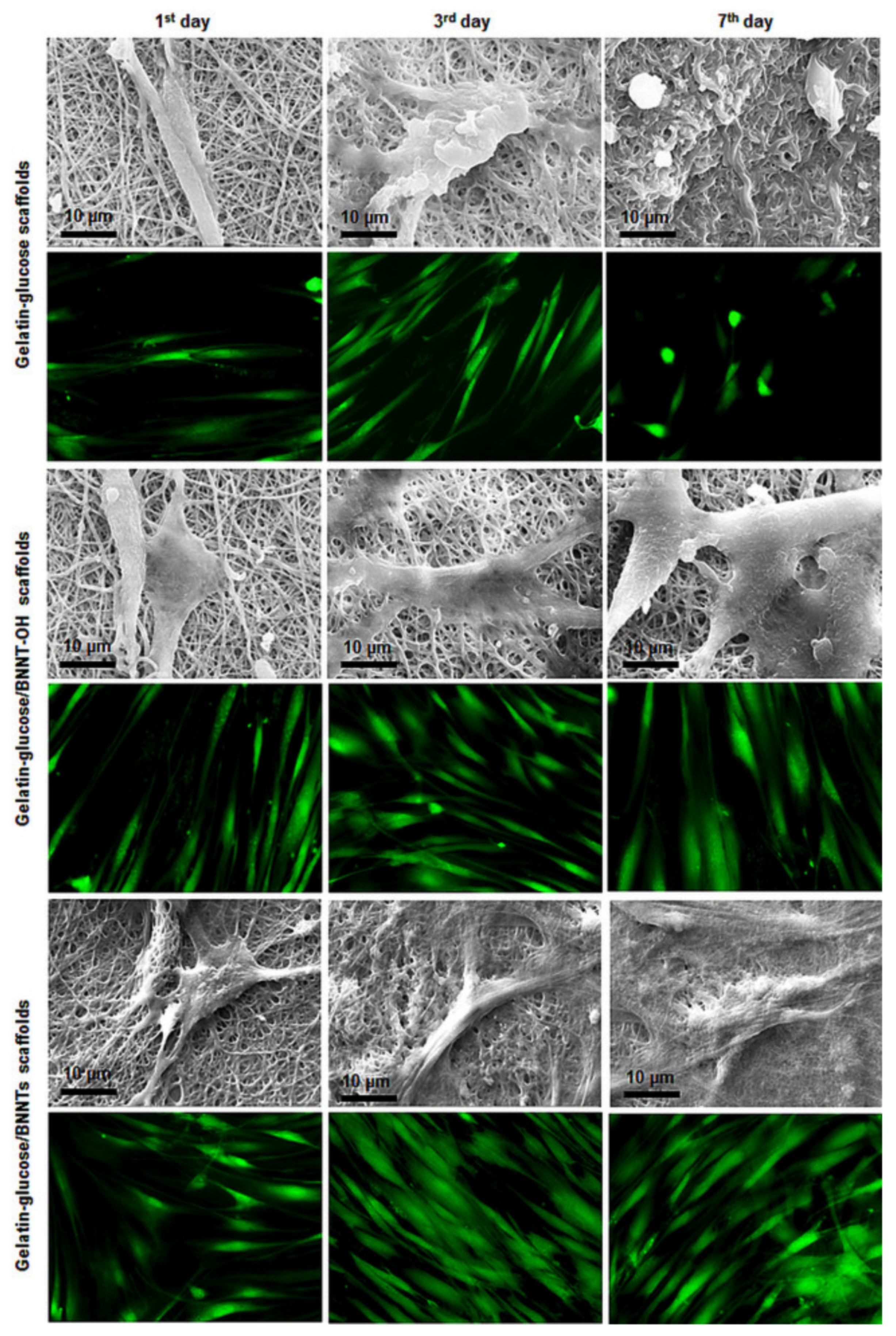 Nanomaterials 12 02069 g005
