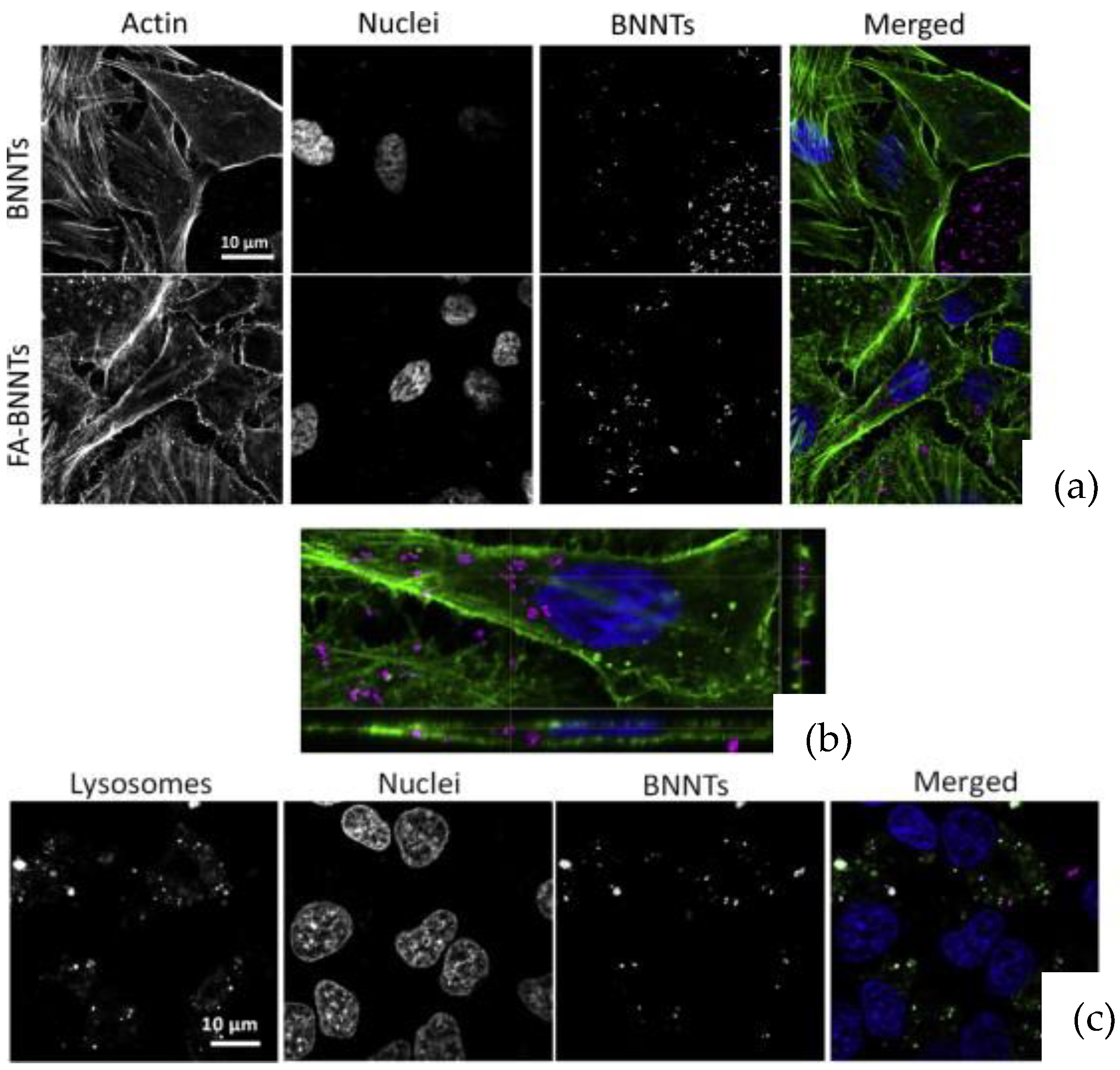 Nanomaterials 12 02069 g006