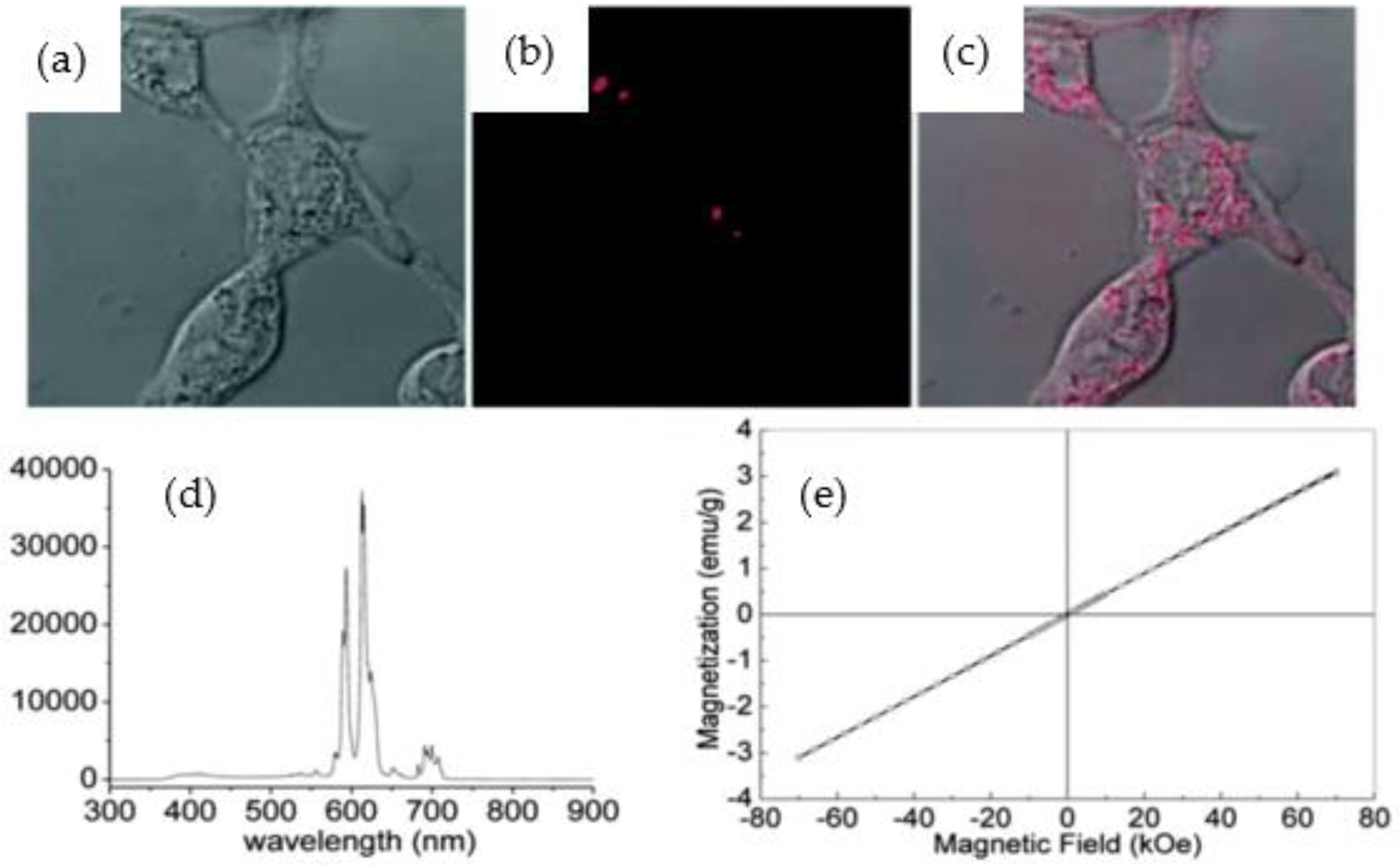 Nanomaterials 12 02069 g007
