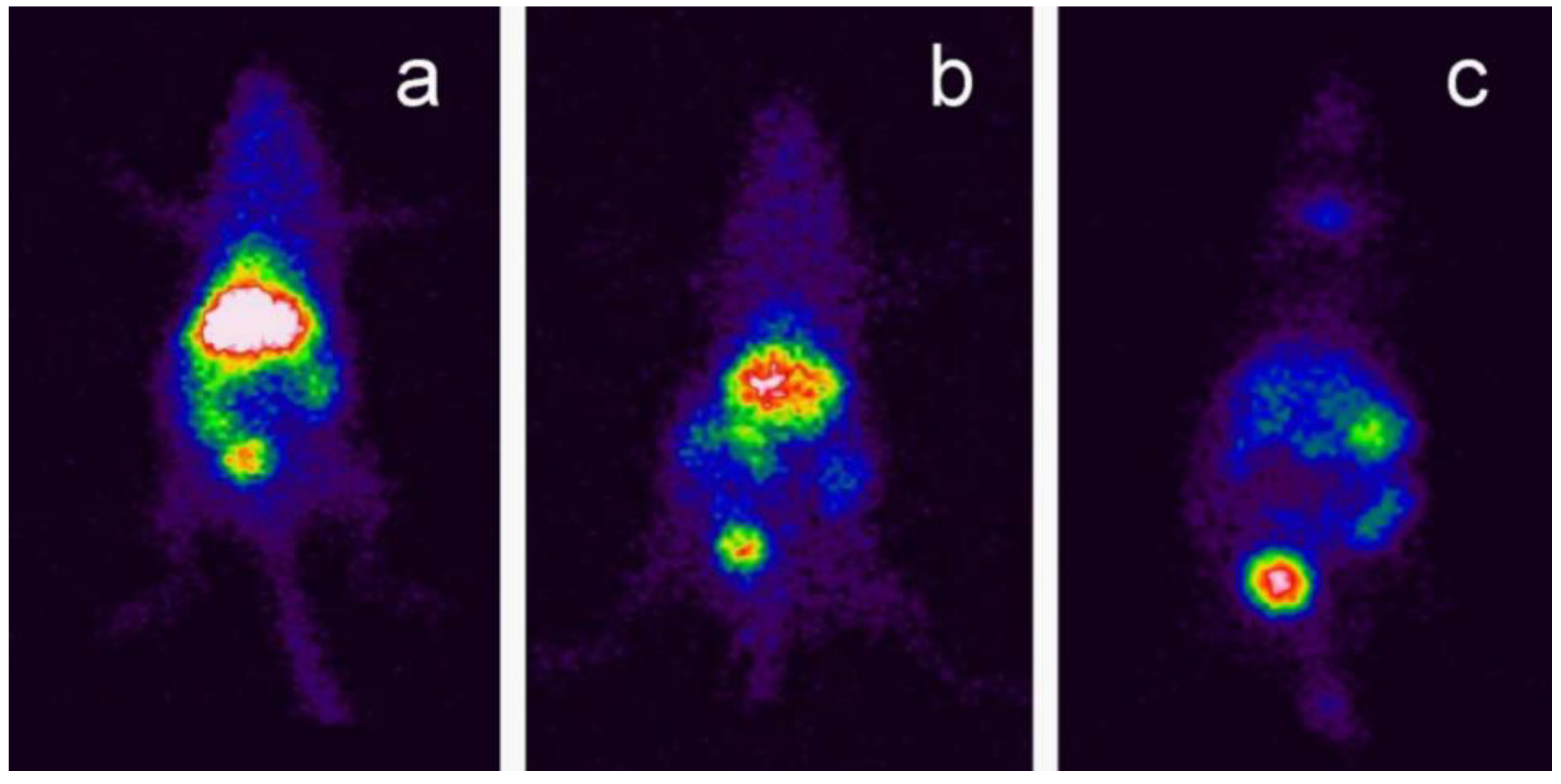 Nanomaterials 12 02069 g008