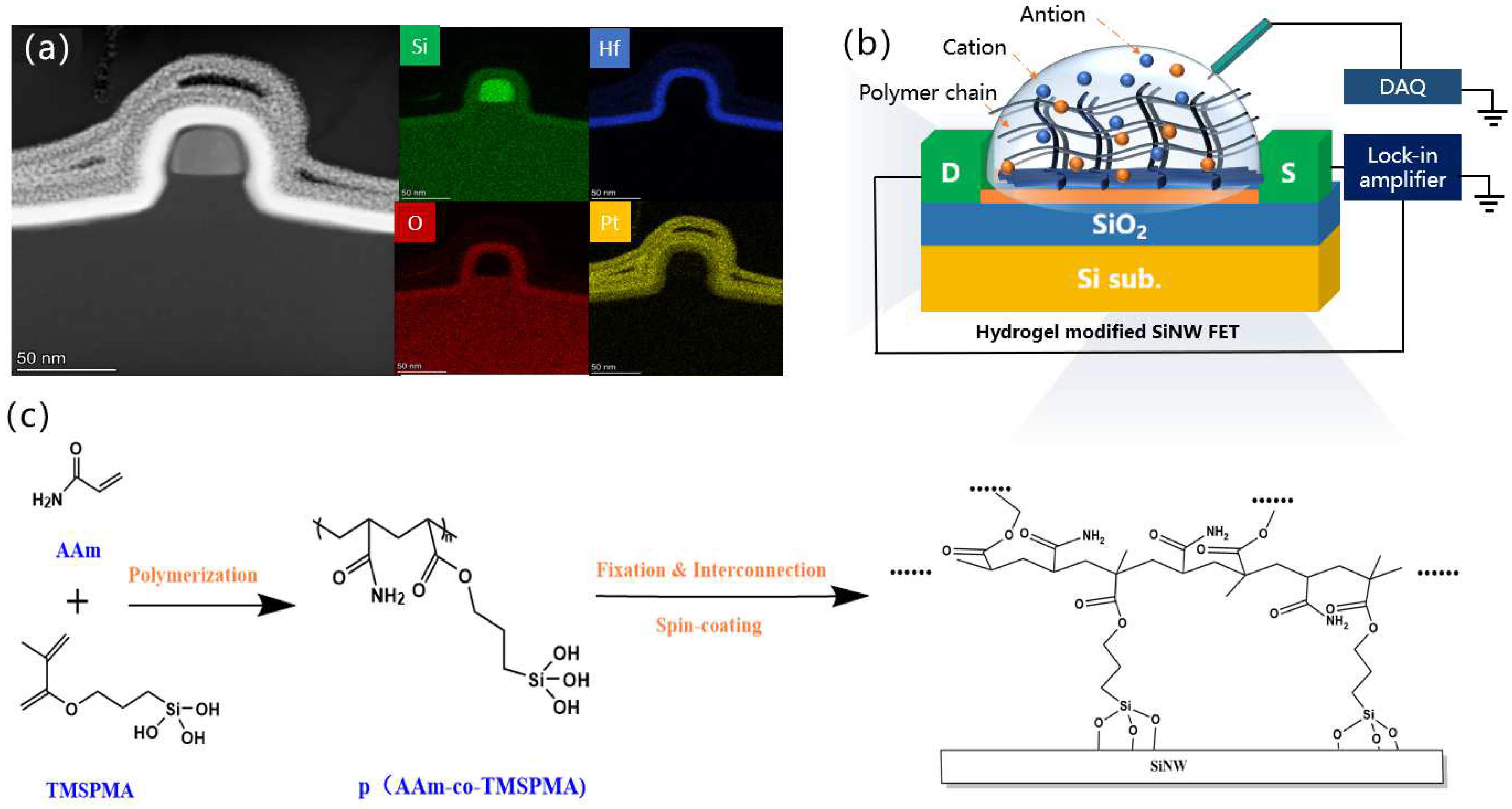 Nanomaterials 12 02070 g001 550