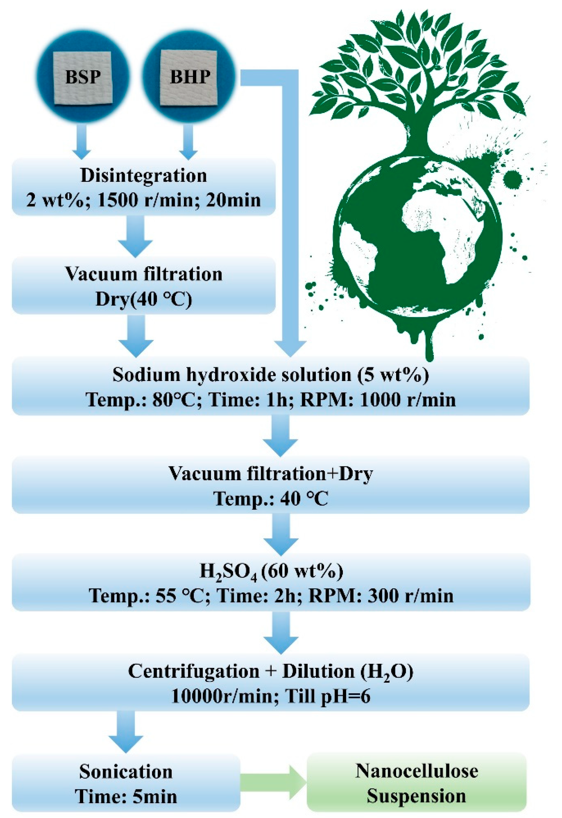 Nanomaterials Free Full Text Fabrication And Properties Of Tree Branched Cellulose Nanofibers Cnfs Via Acid Hydrolysis Assisted With Pre Disintegration Treatment