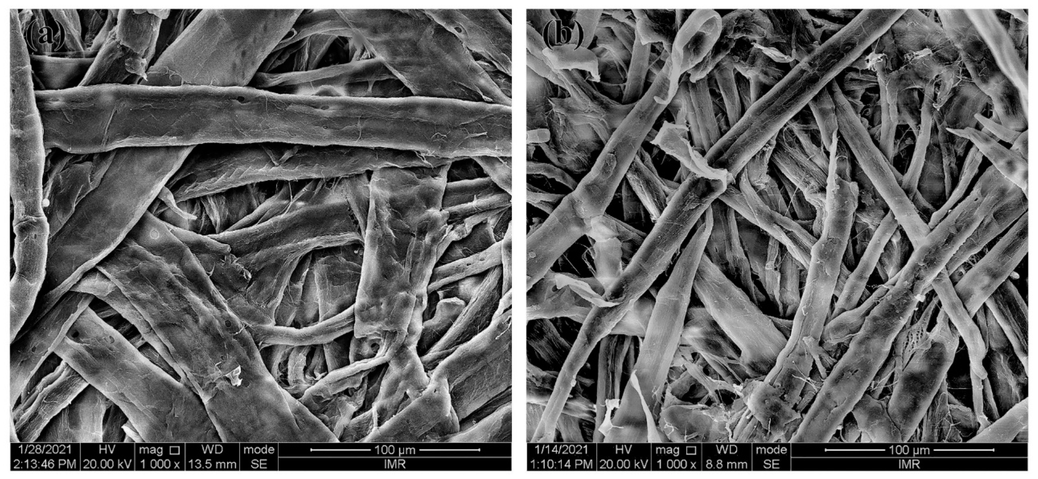 Nanomaterials 12 02089 g002