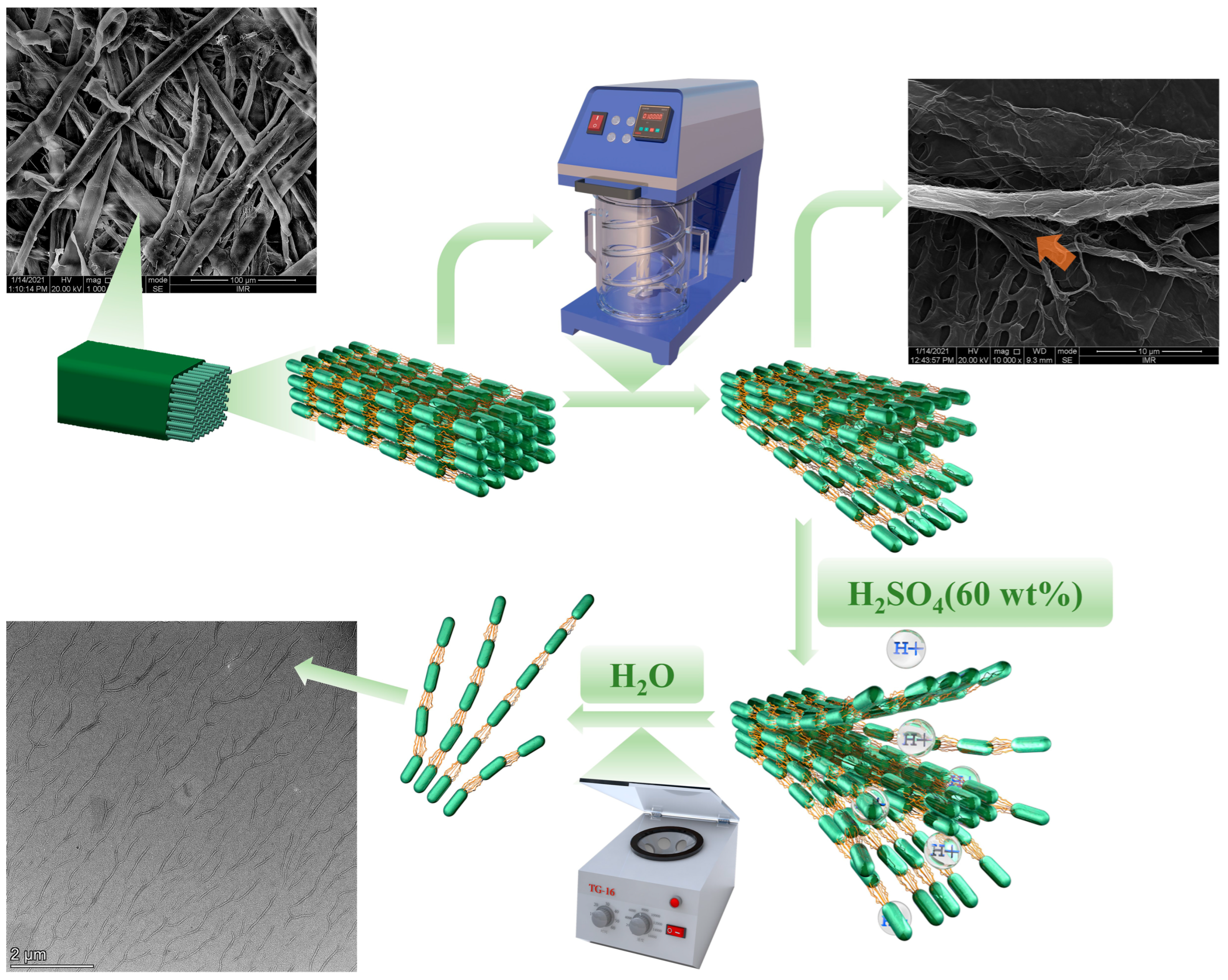 Nanomaterials 12 02089 g004