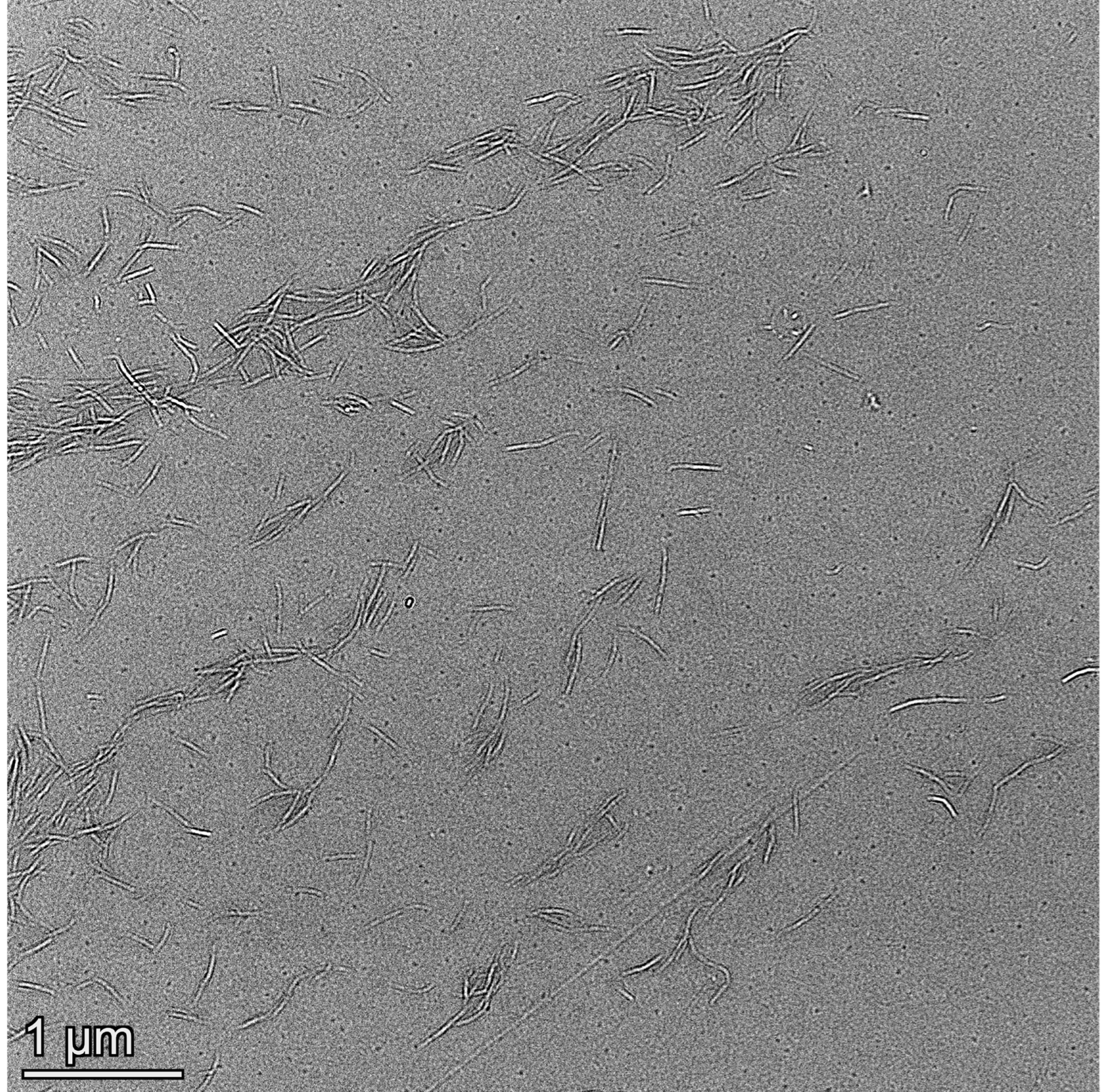 Nanomaterials 12 02089 g005