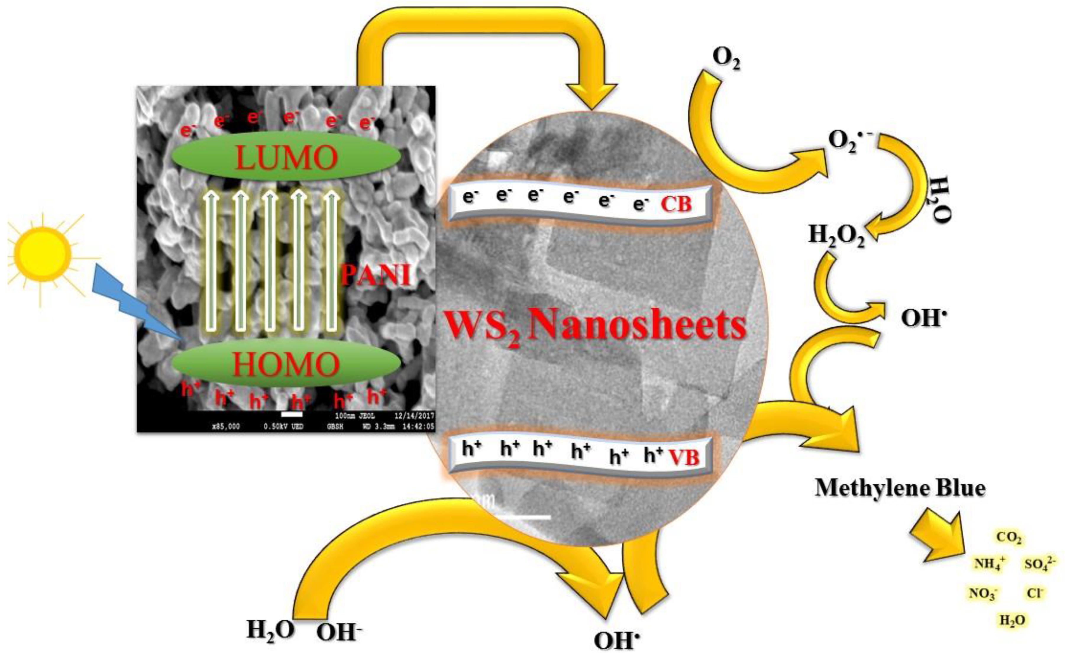 Nanomaterials 12 02090 g010