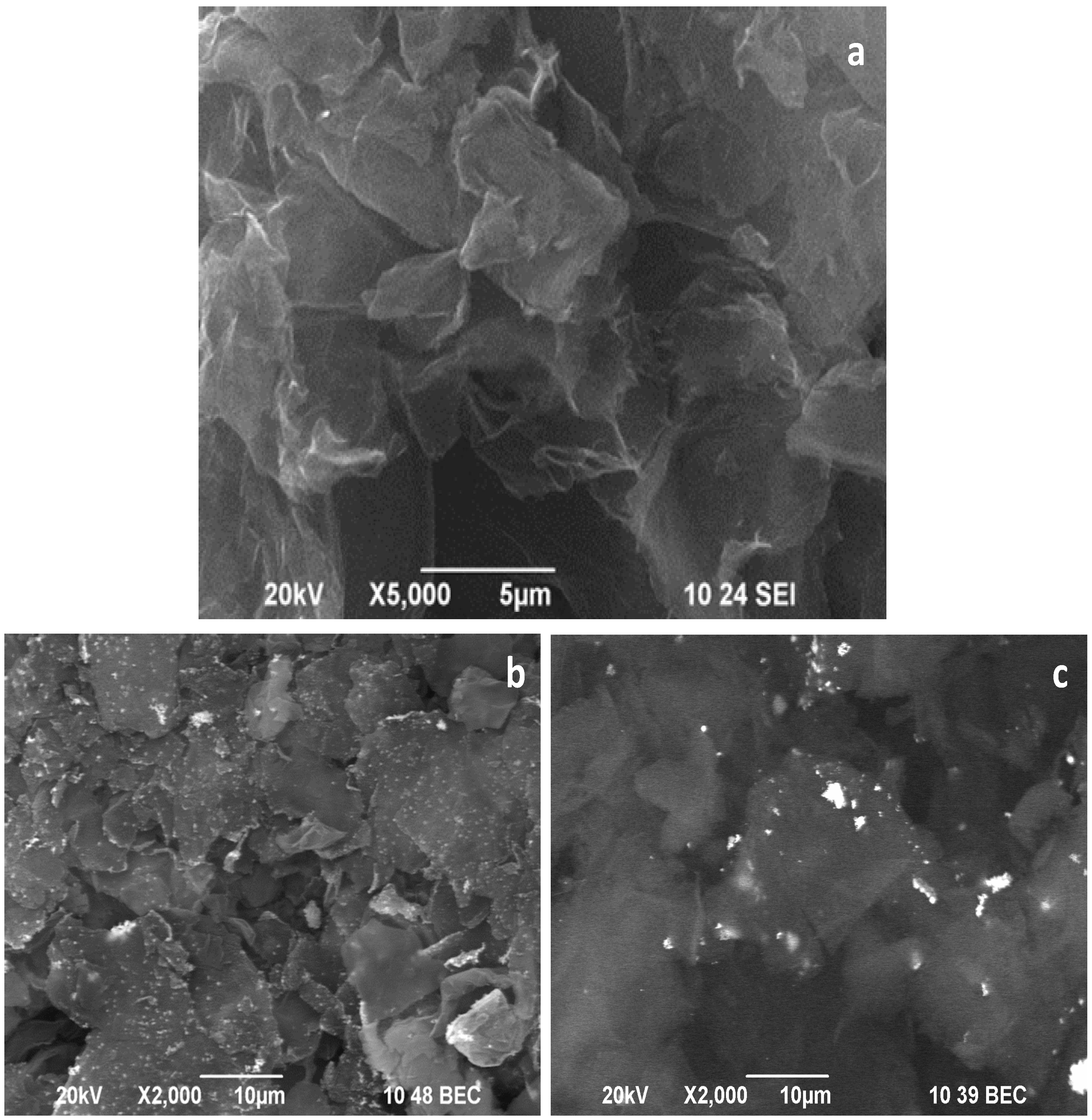 Nanomaterials 12 02096 g002 550