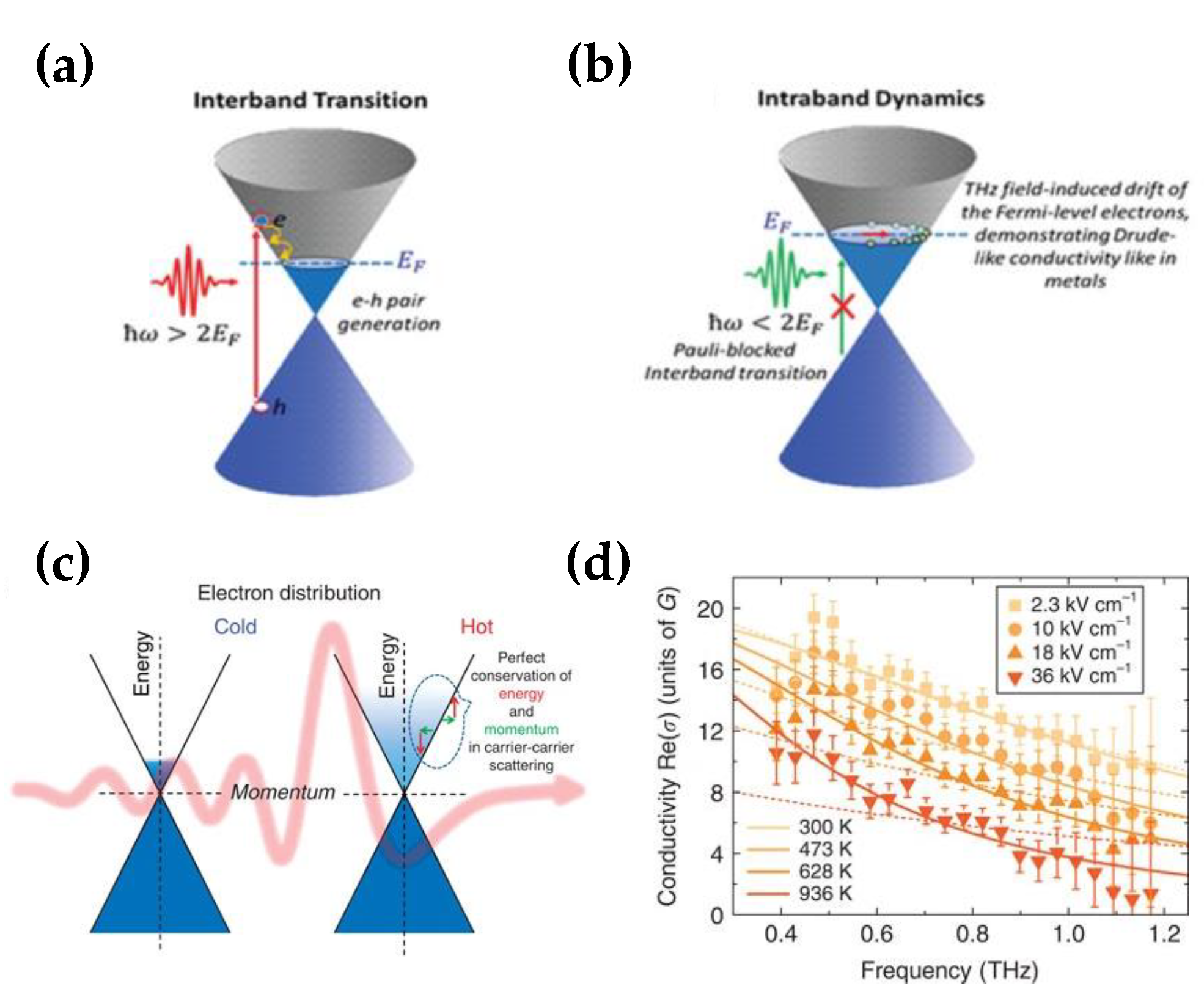 Nanomaterials 12 02097 g001