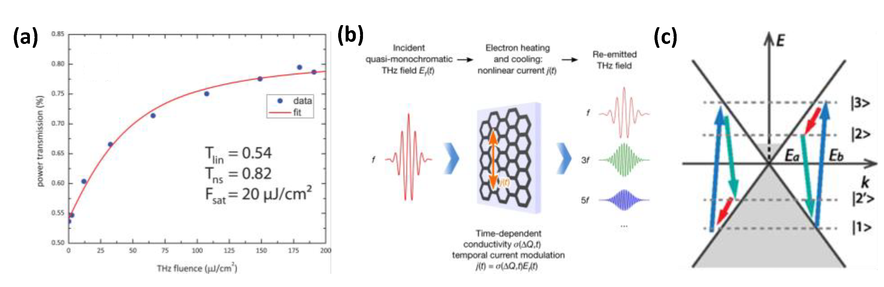 Nanomaterials 12 02097 g002