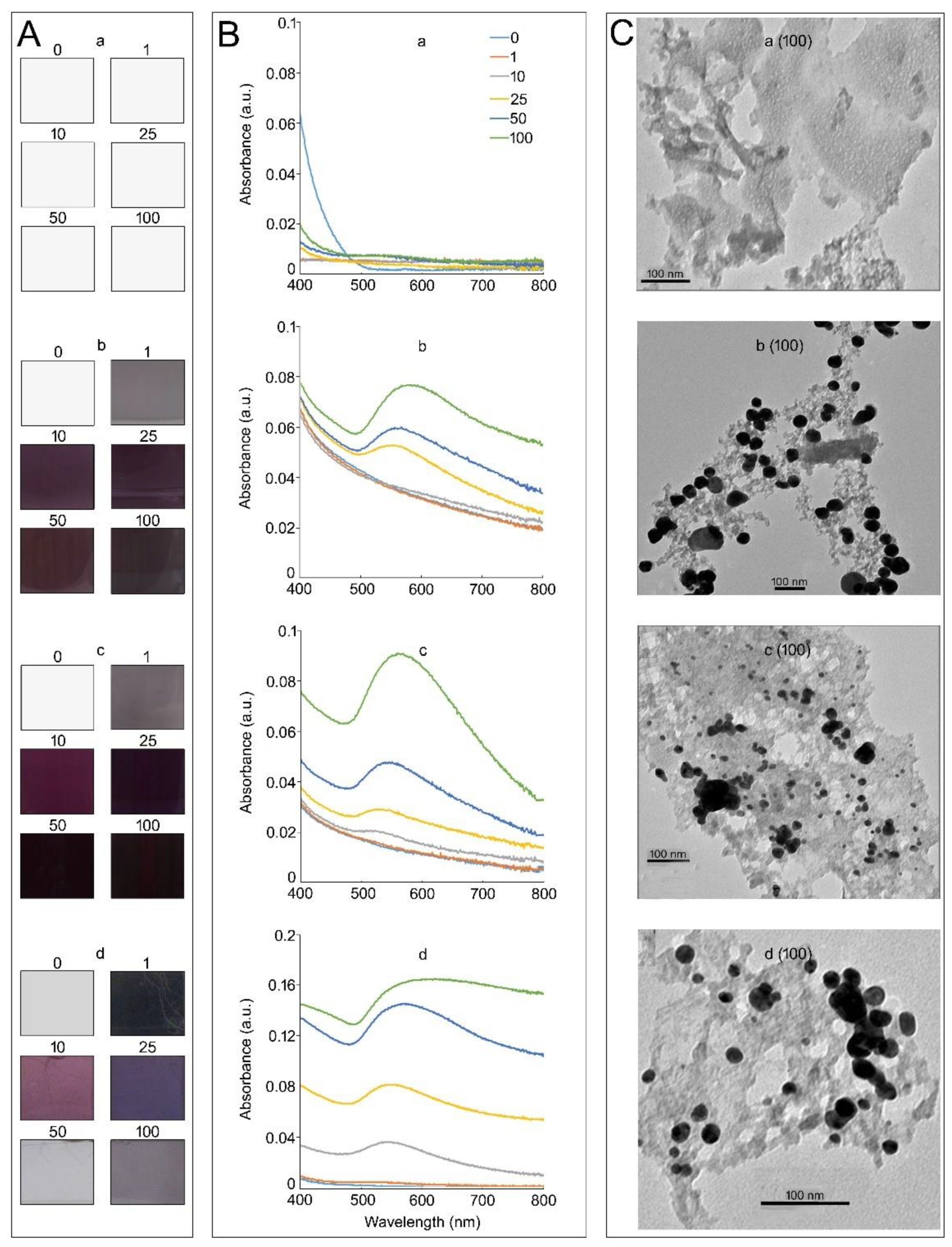 Nanomaterials 12 02099 g001