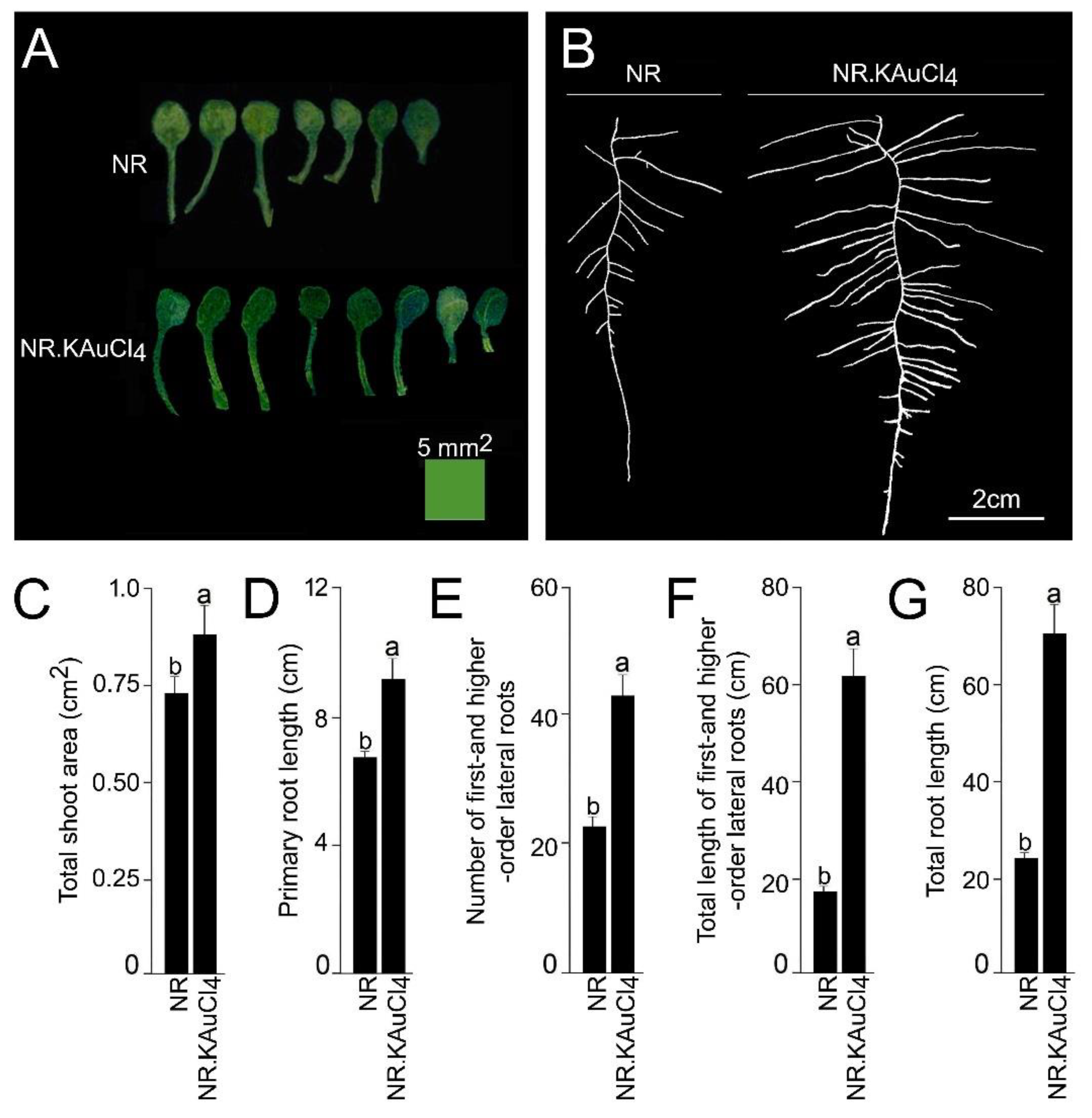 Nanomaterials 12 02099 g003