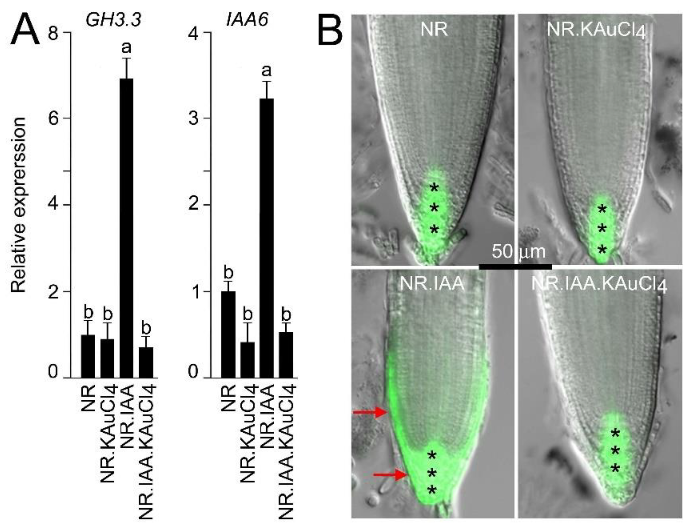 Nanomaterials 12 02099 g007