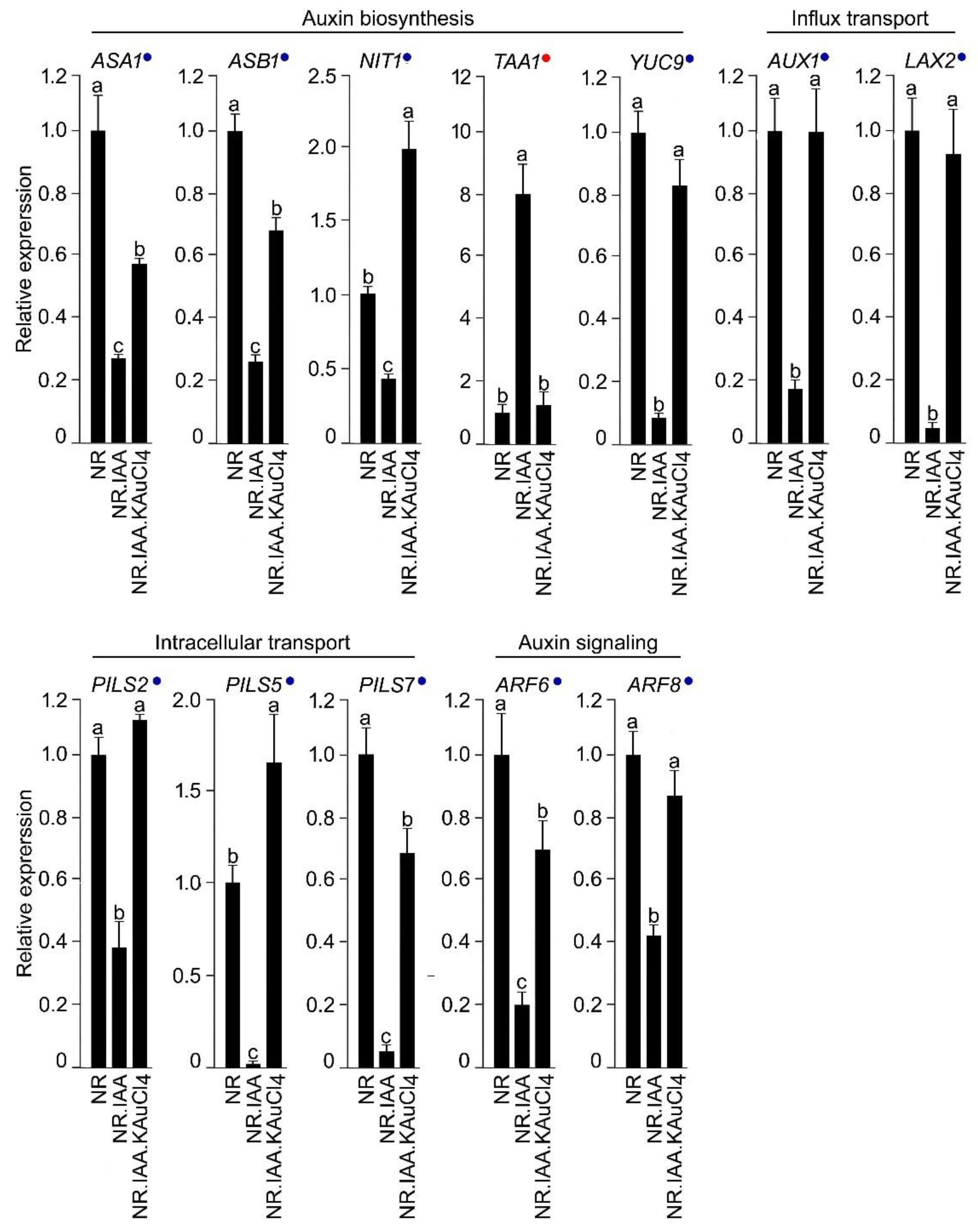 Nanomaterials 12 02099 g009
