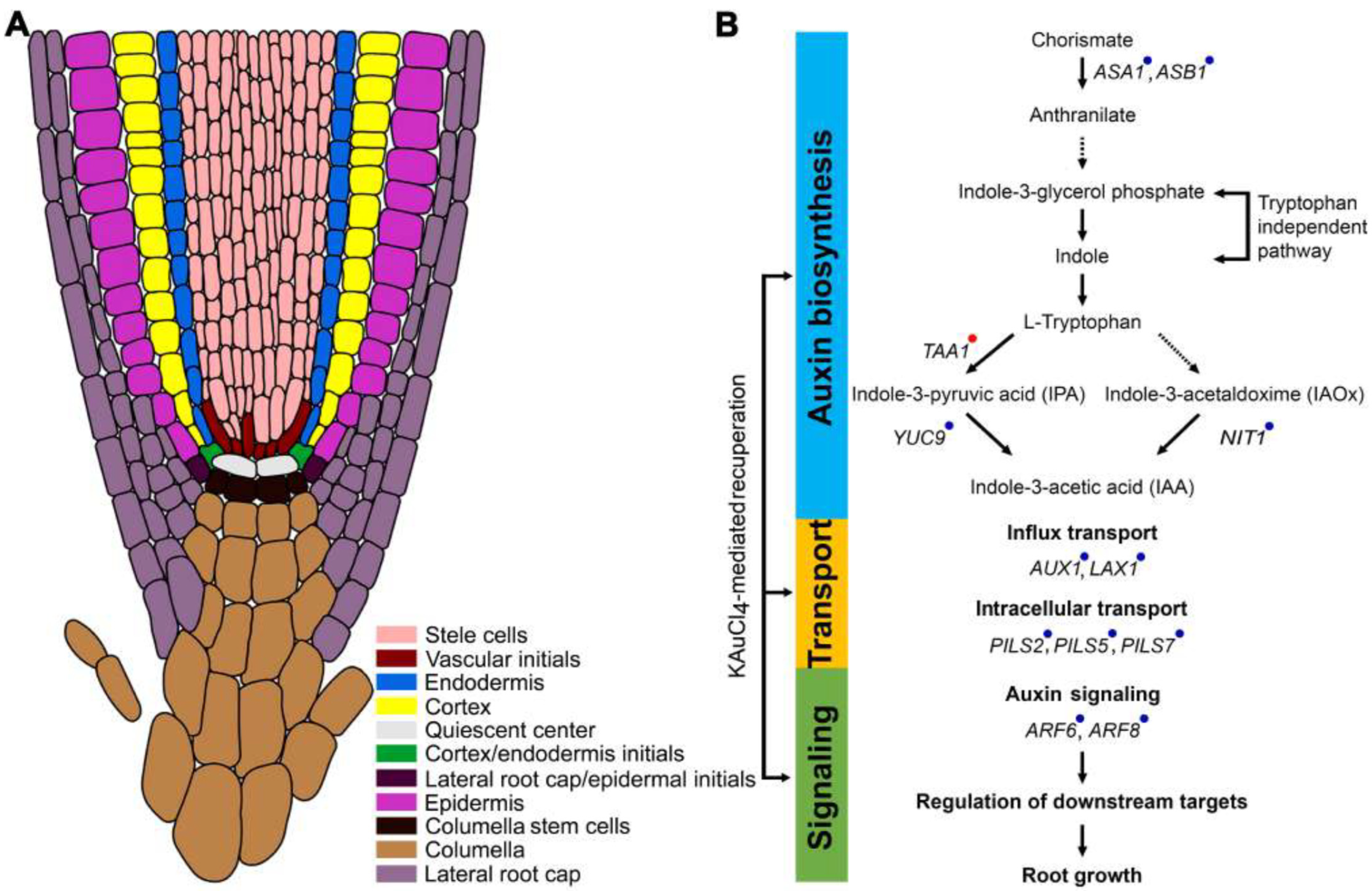 Nanomaterials 12 02099 g010