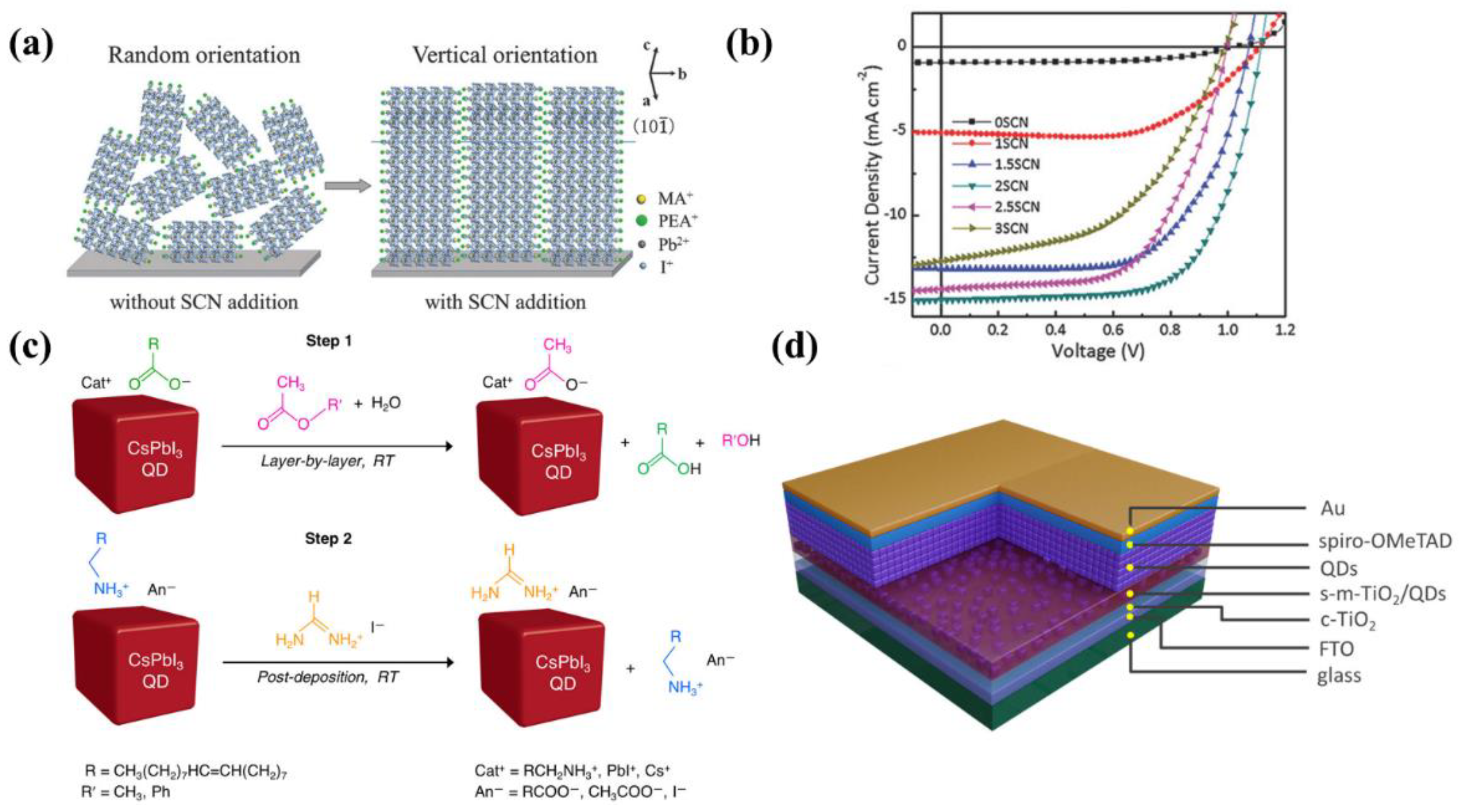 Nanomaterials 12 02100 g005