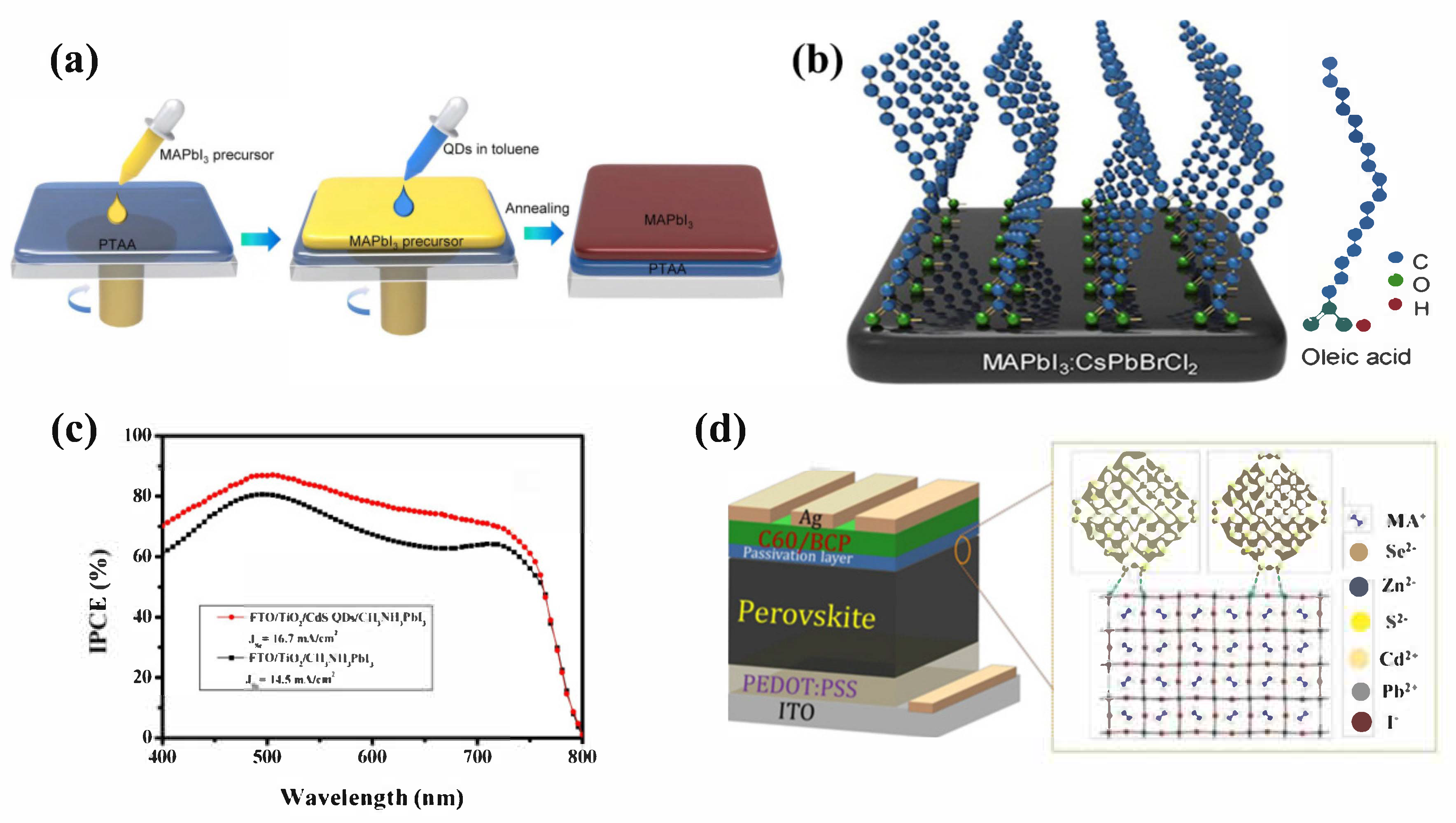 Nanomaterials 12 02102 g005