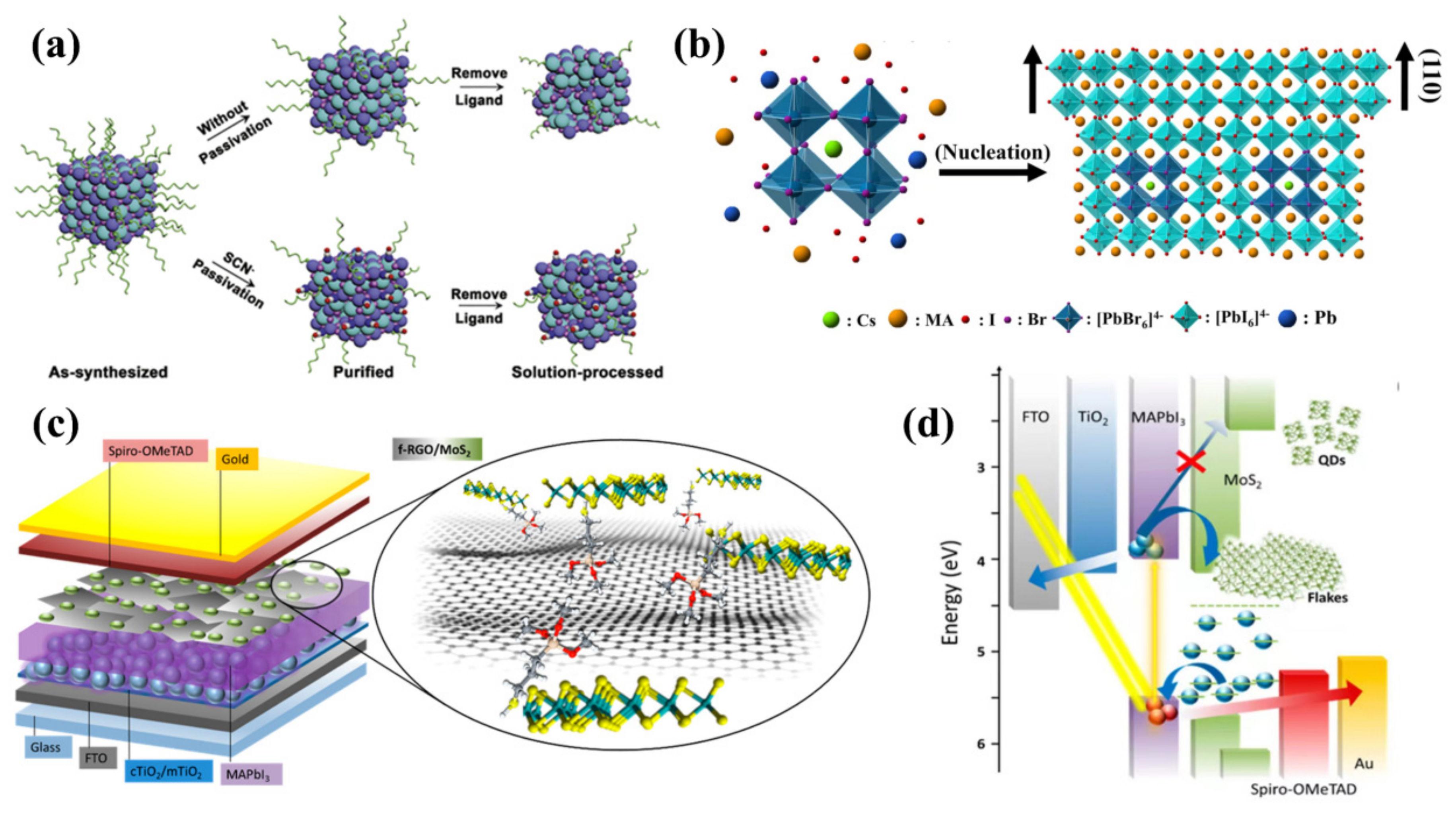 Nanomaterials 12 02102 g006