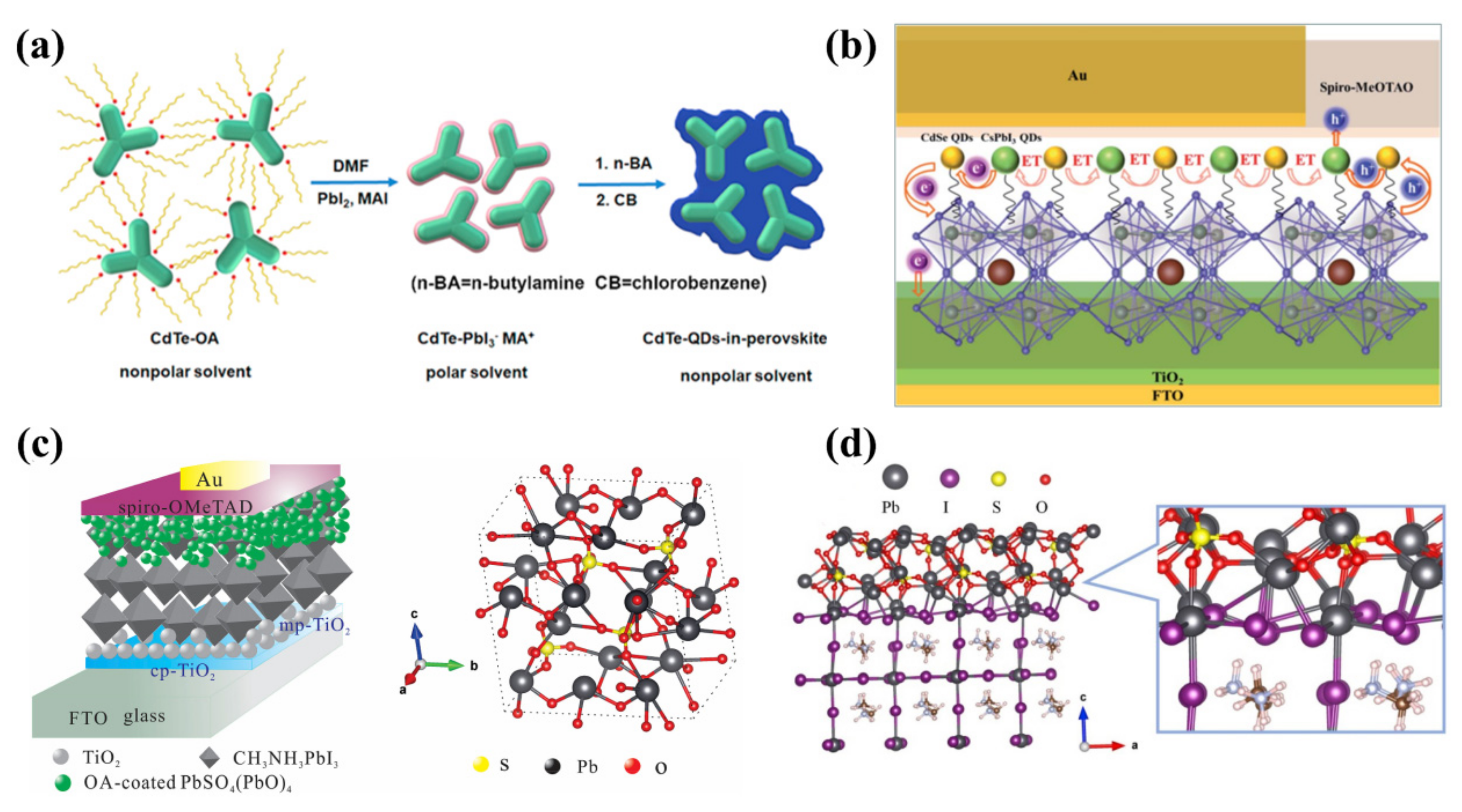 Nanomaterials 12 02102 g008