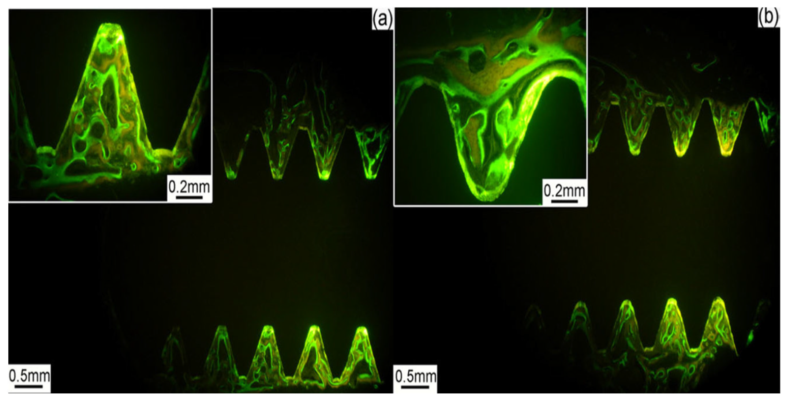 Nanomaterials 12 02111 g001