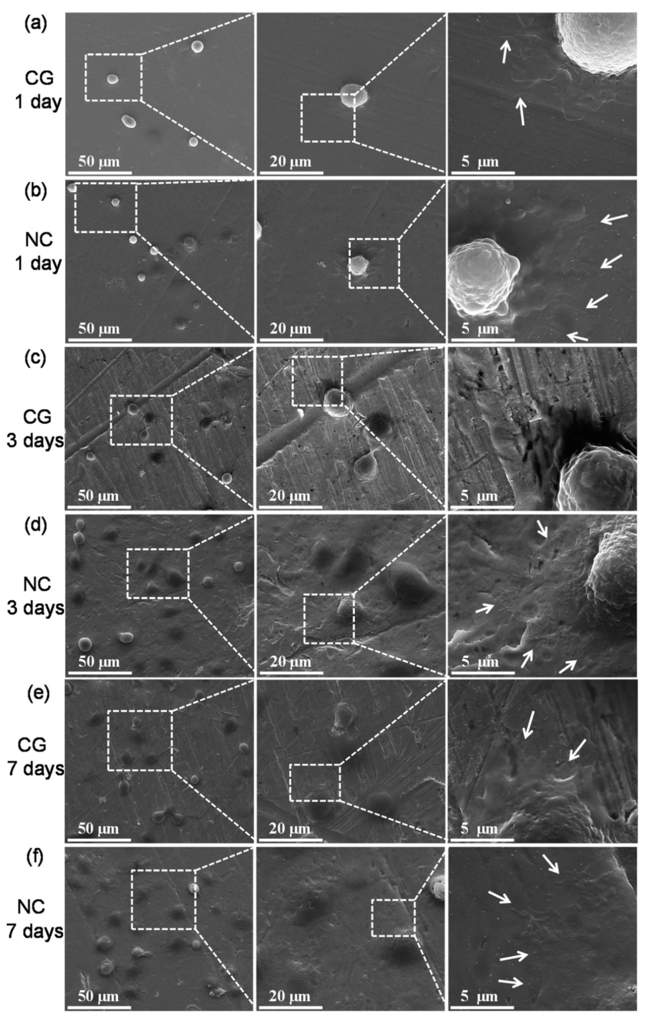 Nanomaterials 12 02111 g004