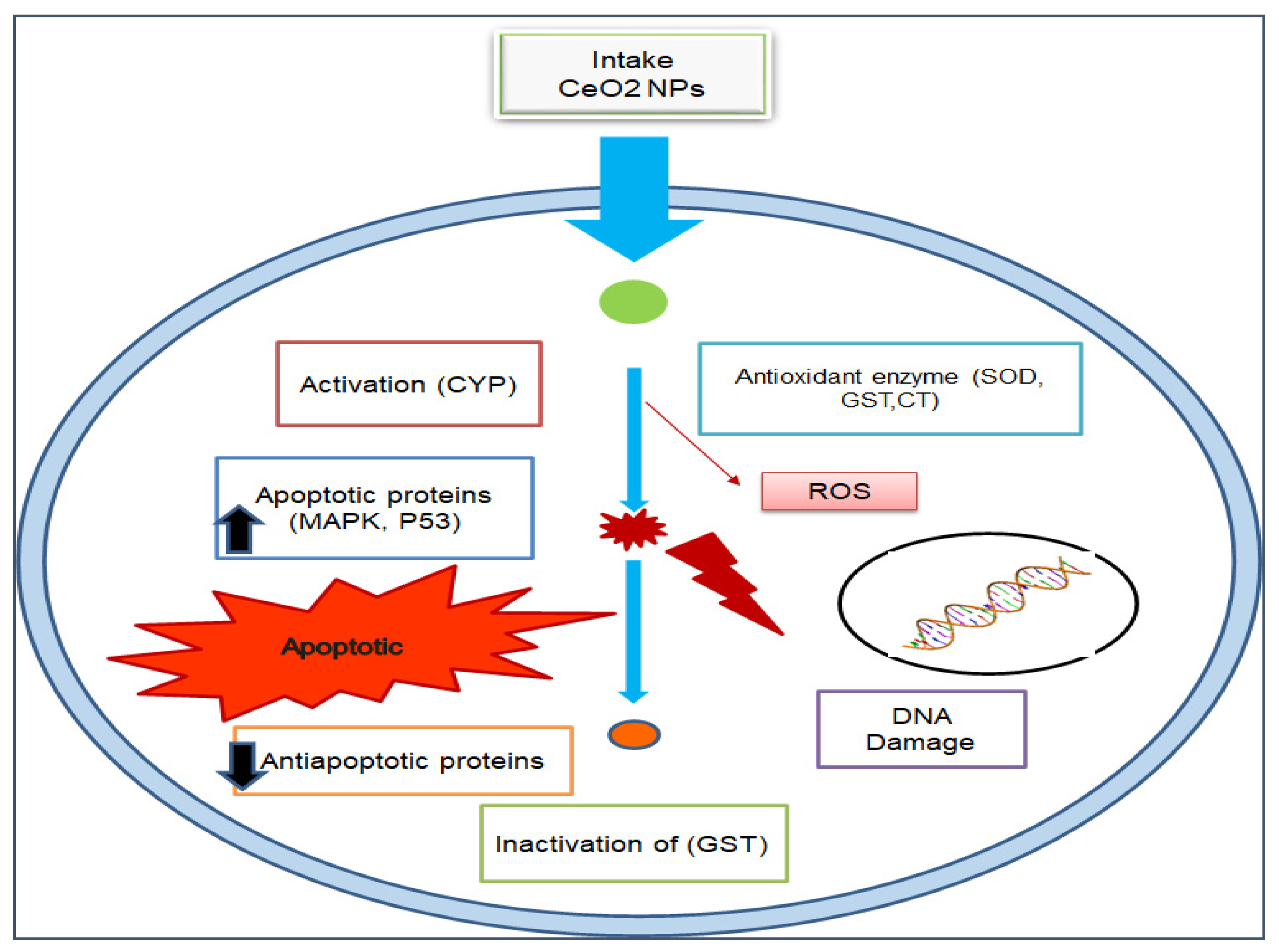 Nanomaterials 12 02117 g004