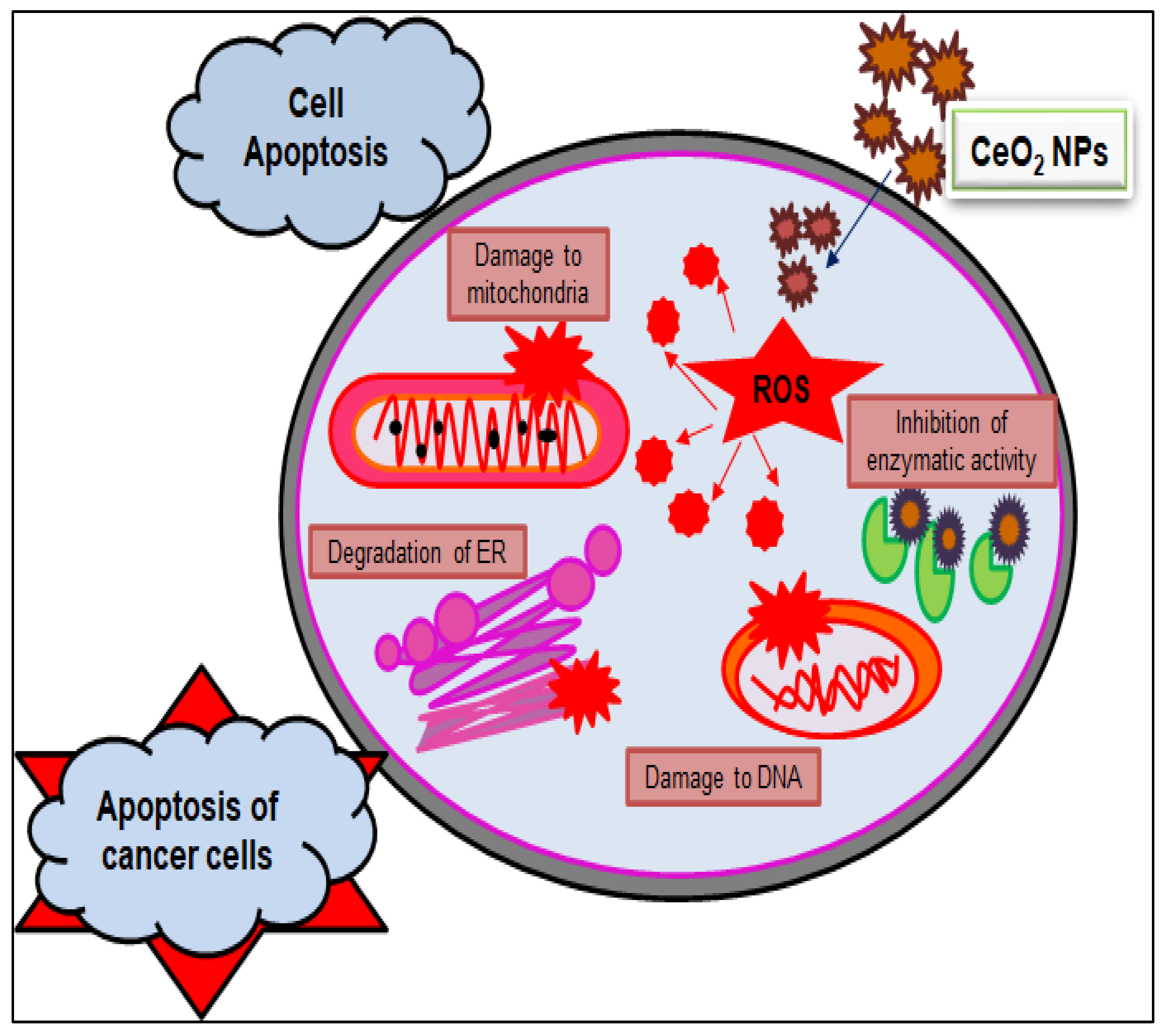 Nanomaterials 12 02117 g005
