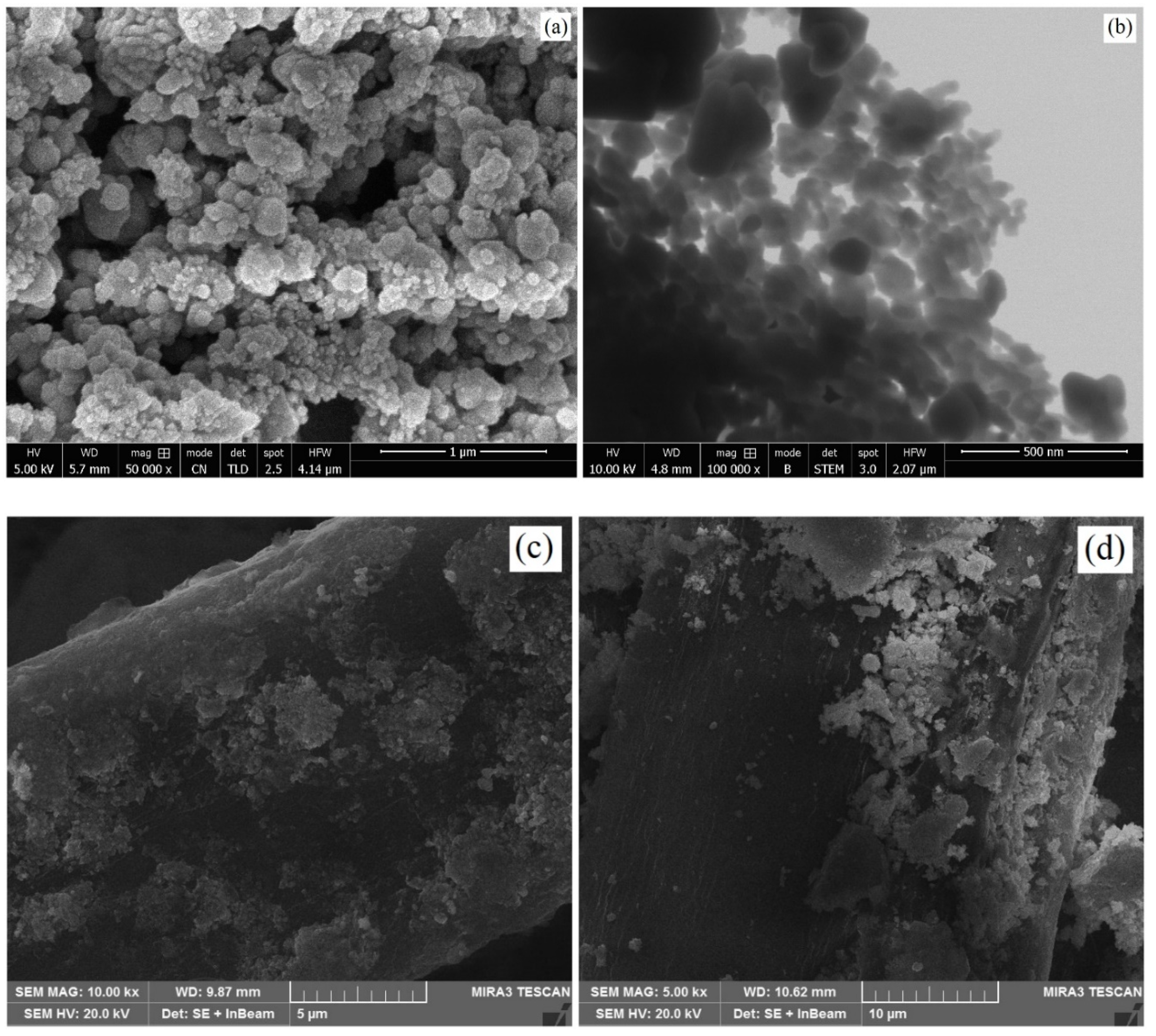 Nanomaterials 12 02122 g005