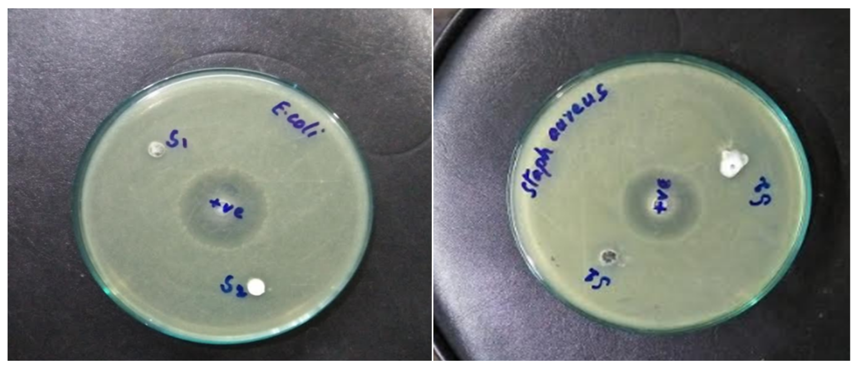 Nanomaterials 12 02122 g009